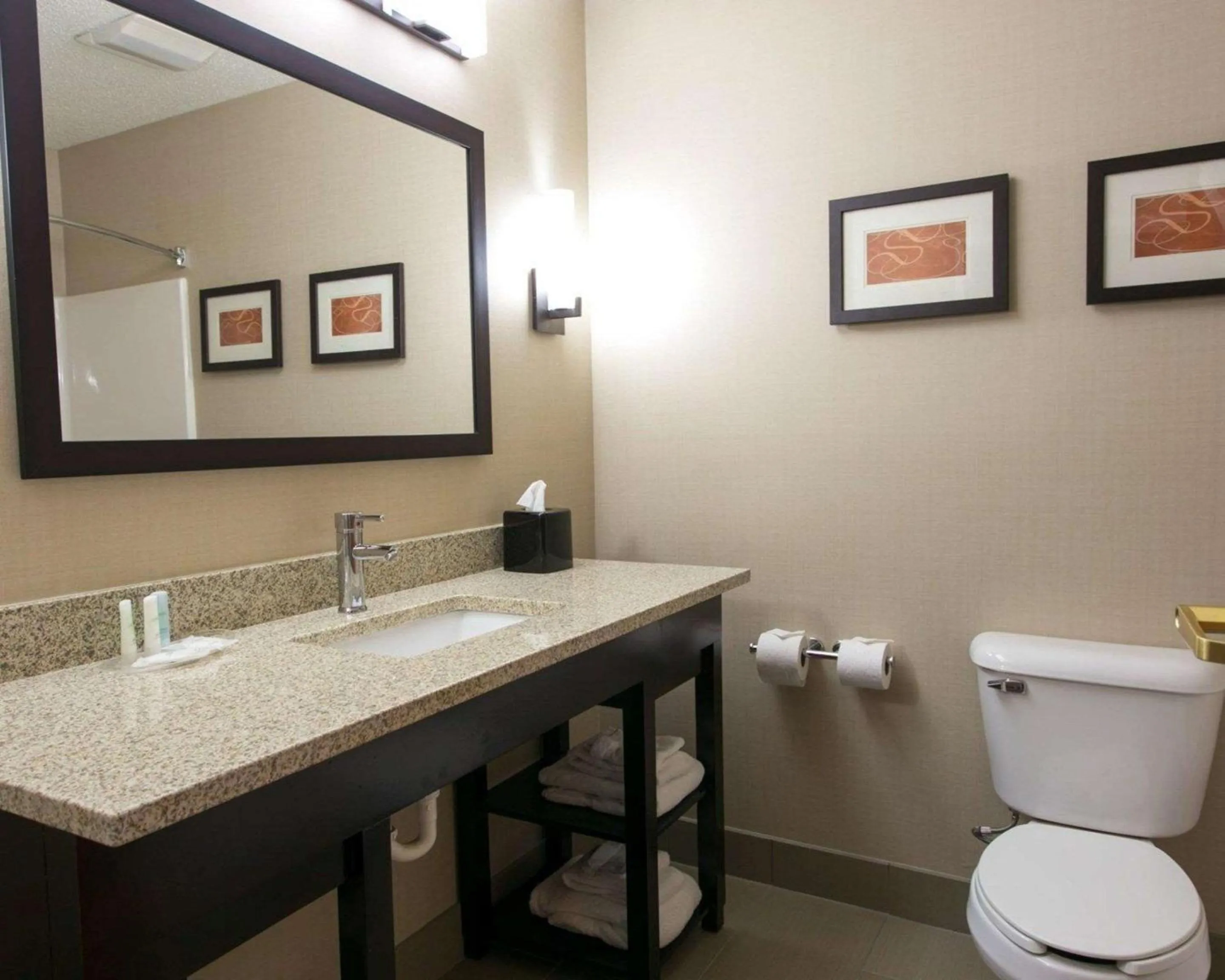 Bathroom in Comfort Suites Benton Harbor - St Joseph