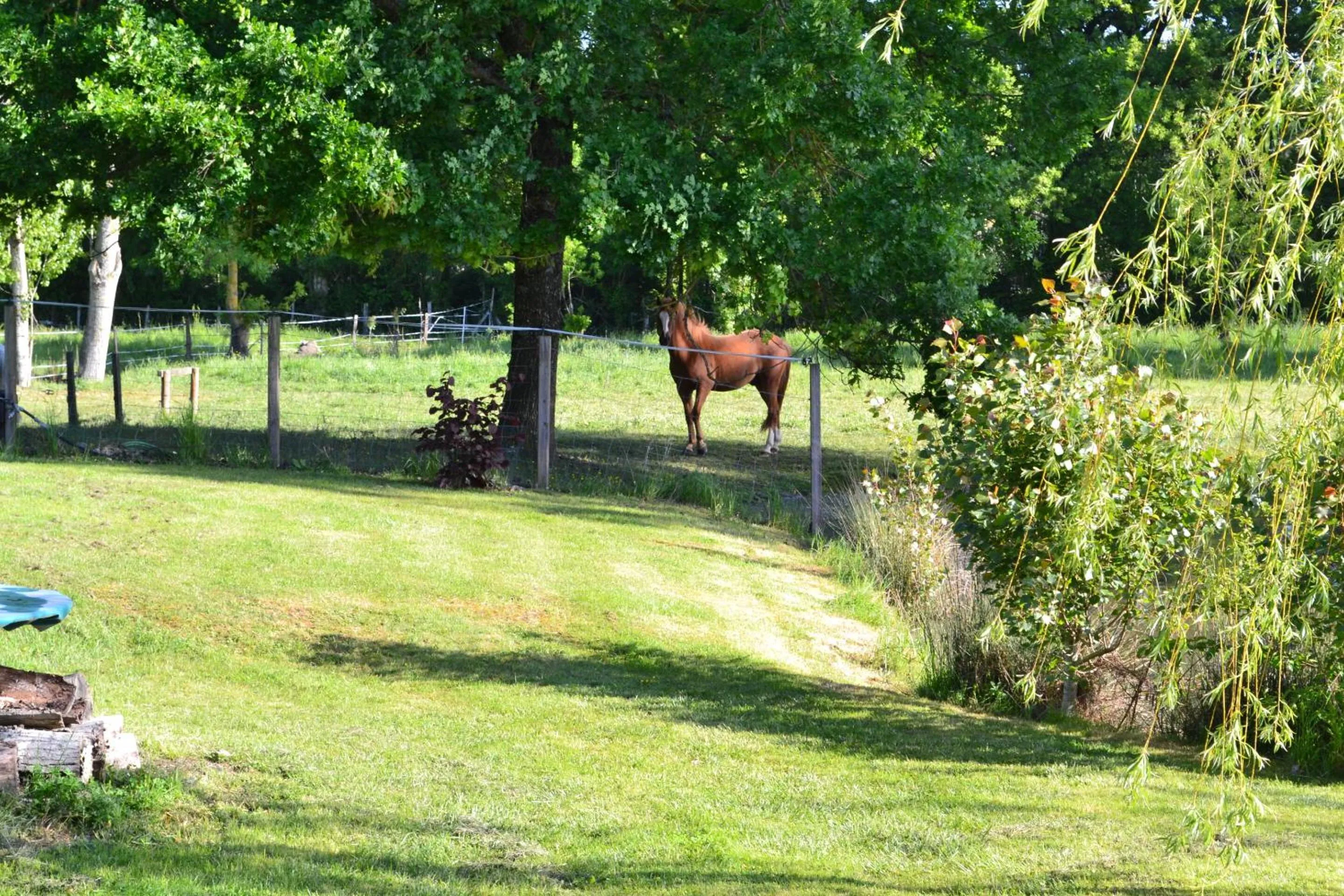 Property building in L'instant bleu