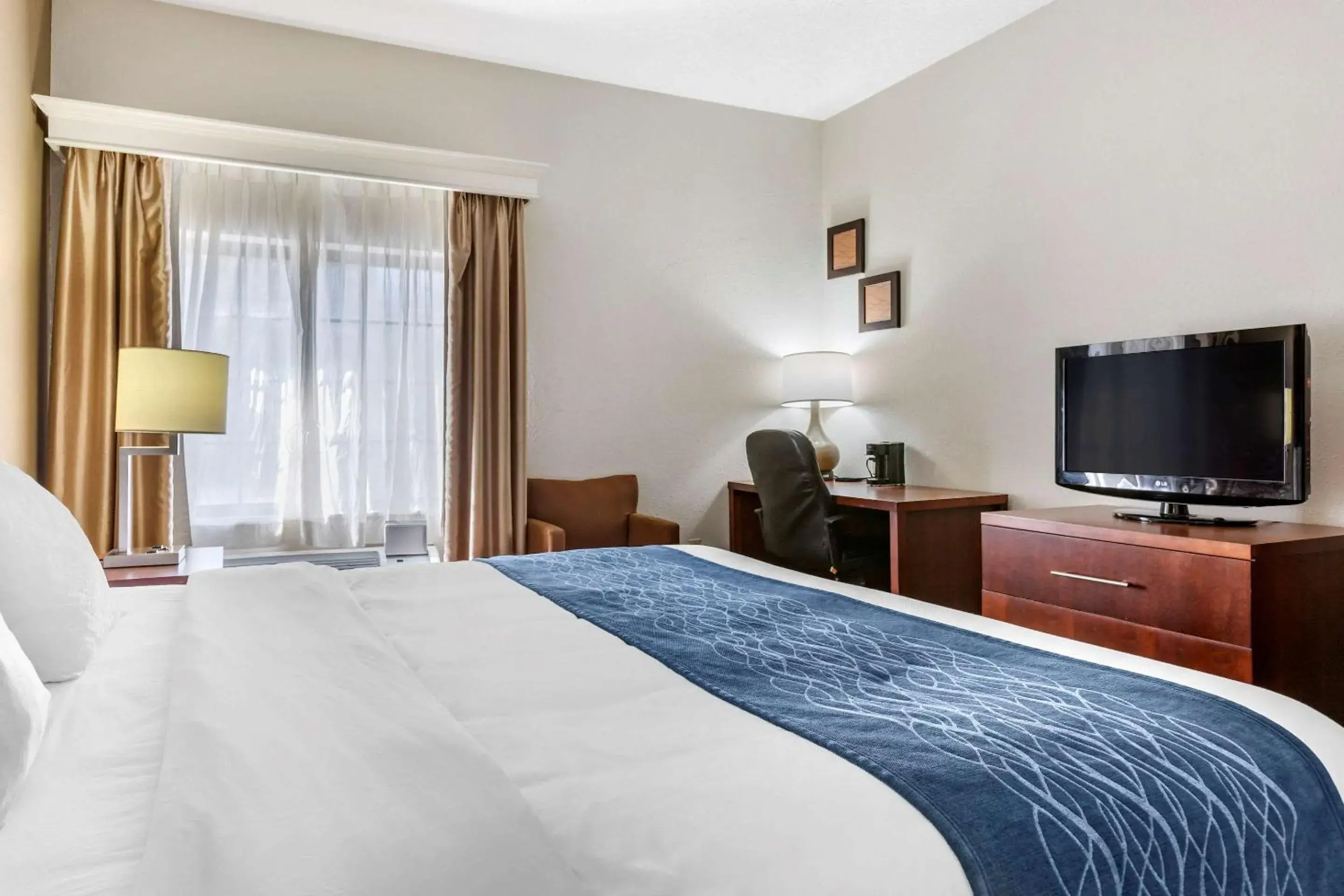 Photo of the whole room in Comfort Inn Downtown - University Area Photo of the whole room in Comfort Inn Downtown - University Area