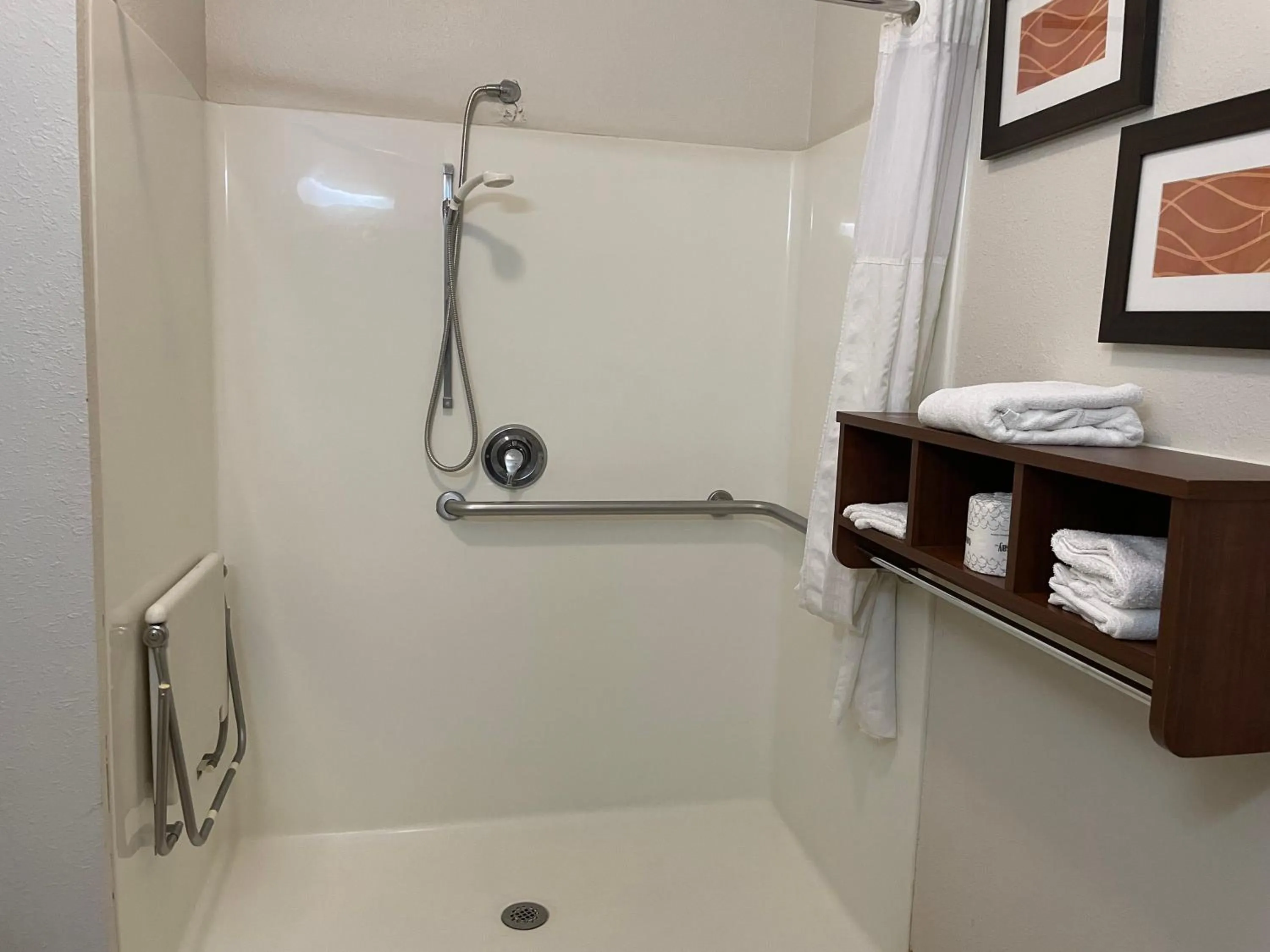 Comfort Inn Downtown - University Area