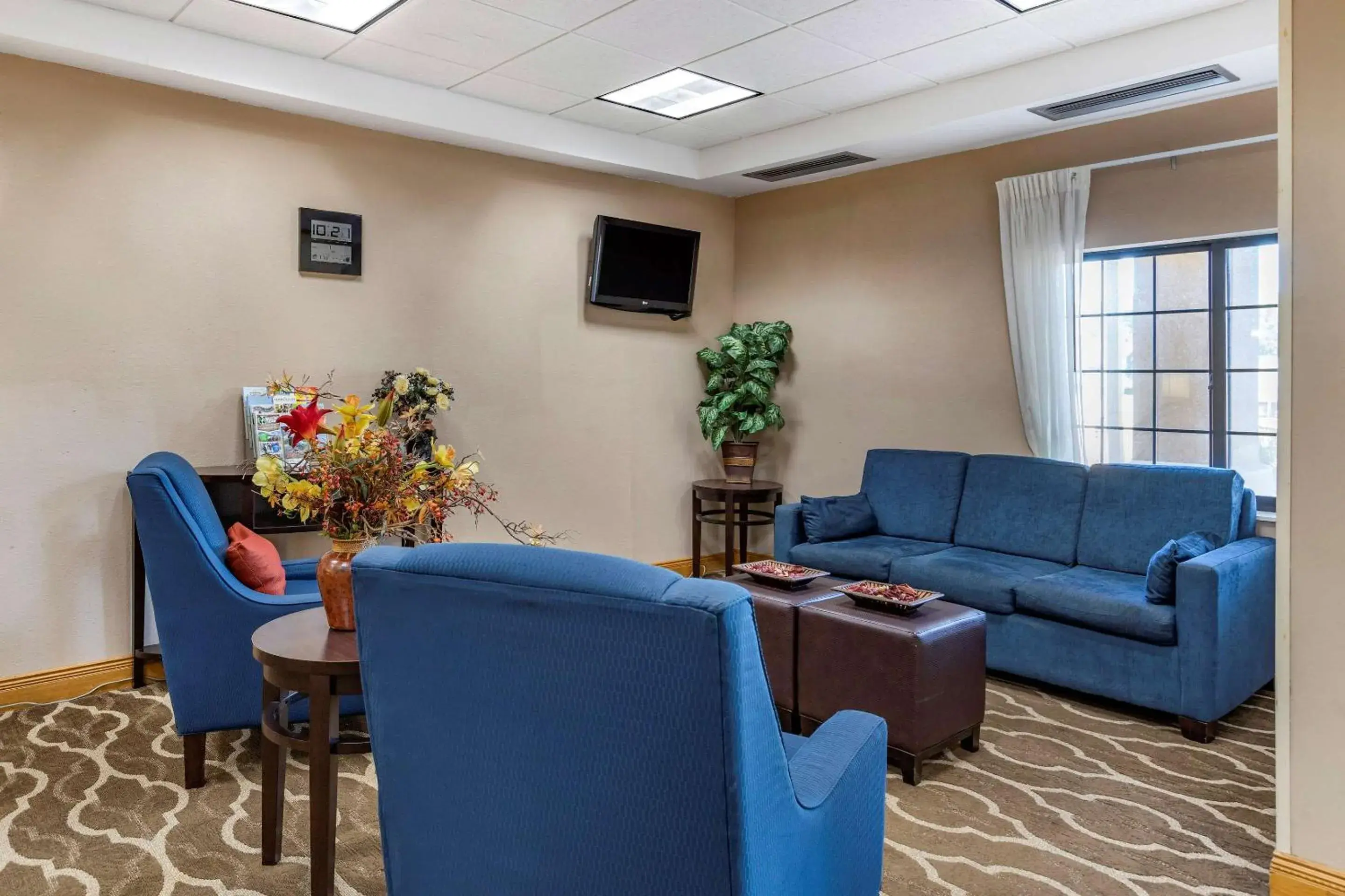 Lobby or reception in Comfort Inn Downtown - University Area Lobby or reception in Comfort Inn Downtown - University Area