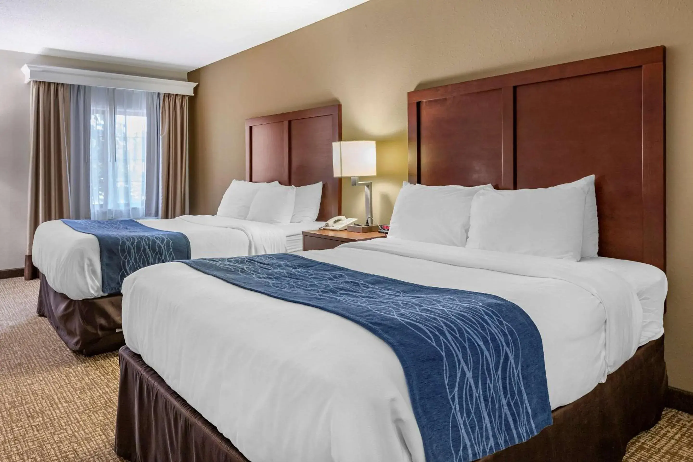 Photo of the whole room in Comfort Inn Downtown - University Area Photo of the whole room in Comfort Inn Downtown - University Area