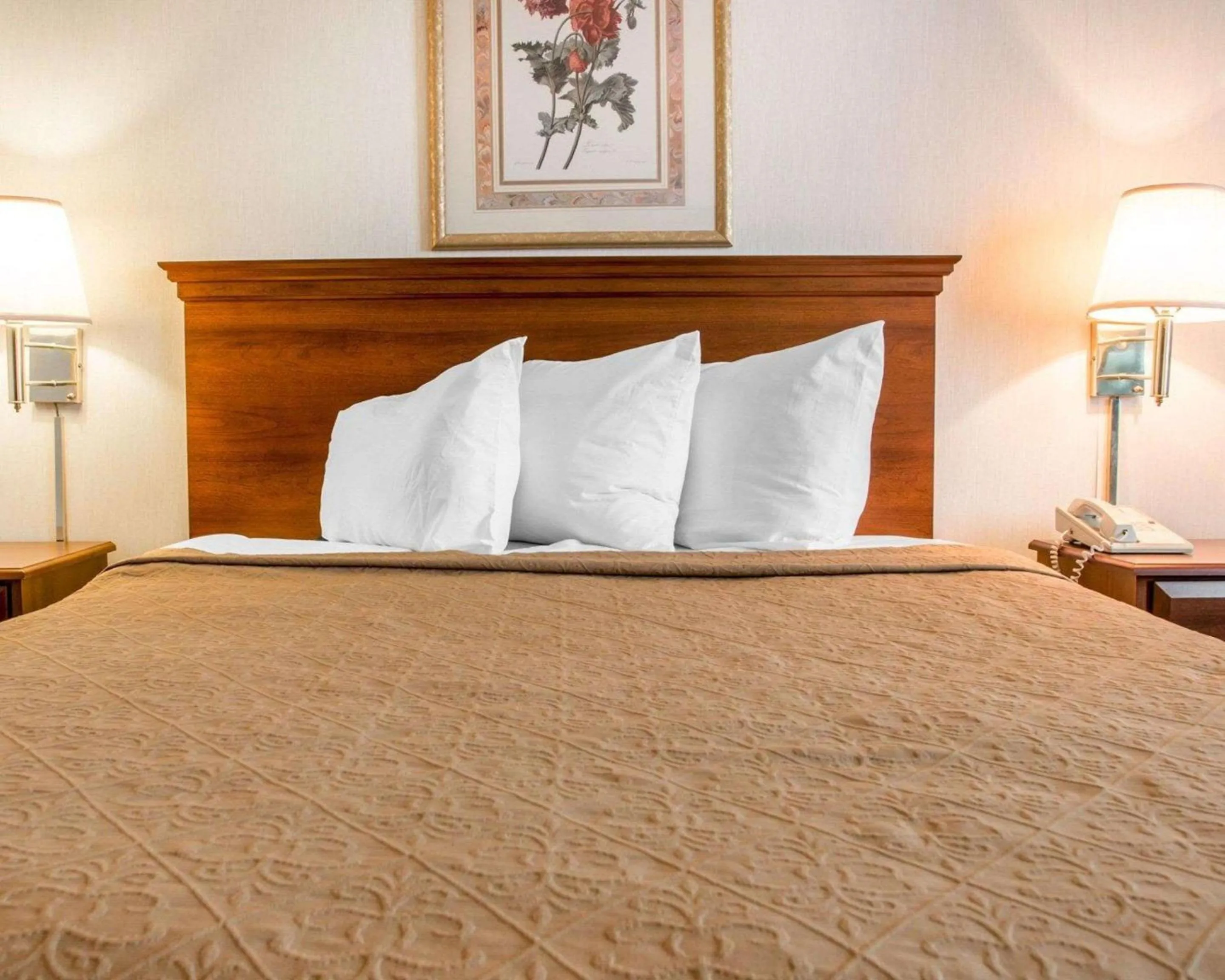 Bedroom, Bed in Quality Inn Hudsonville South