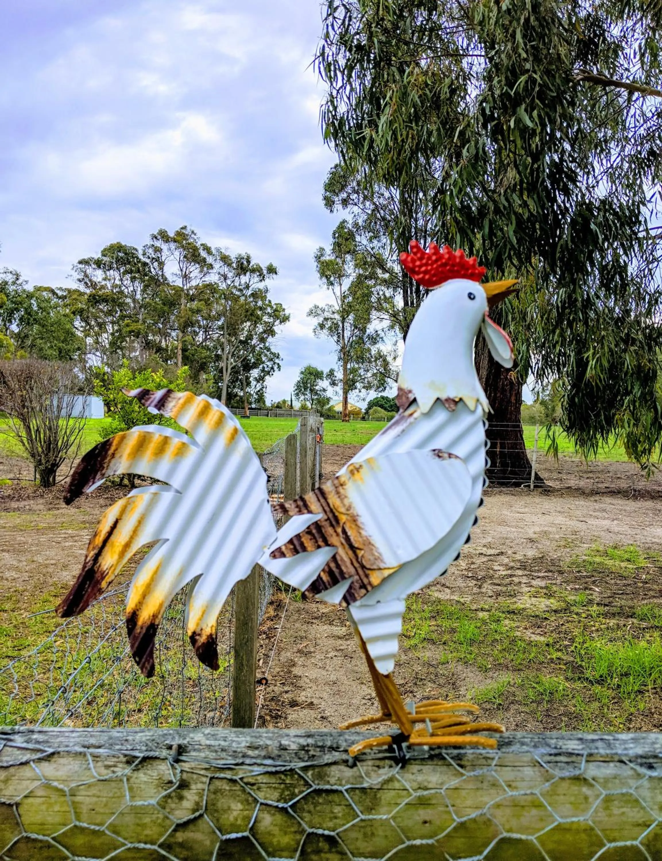 Animals in Nicholson BnB and Arts Centre