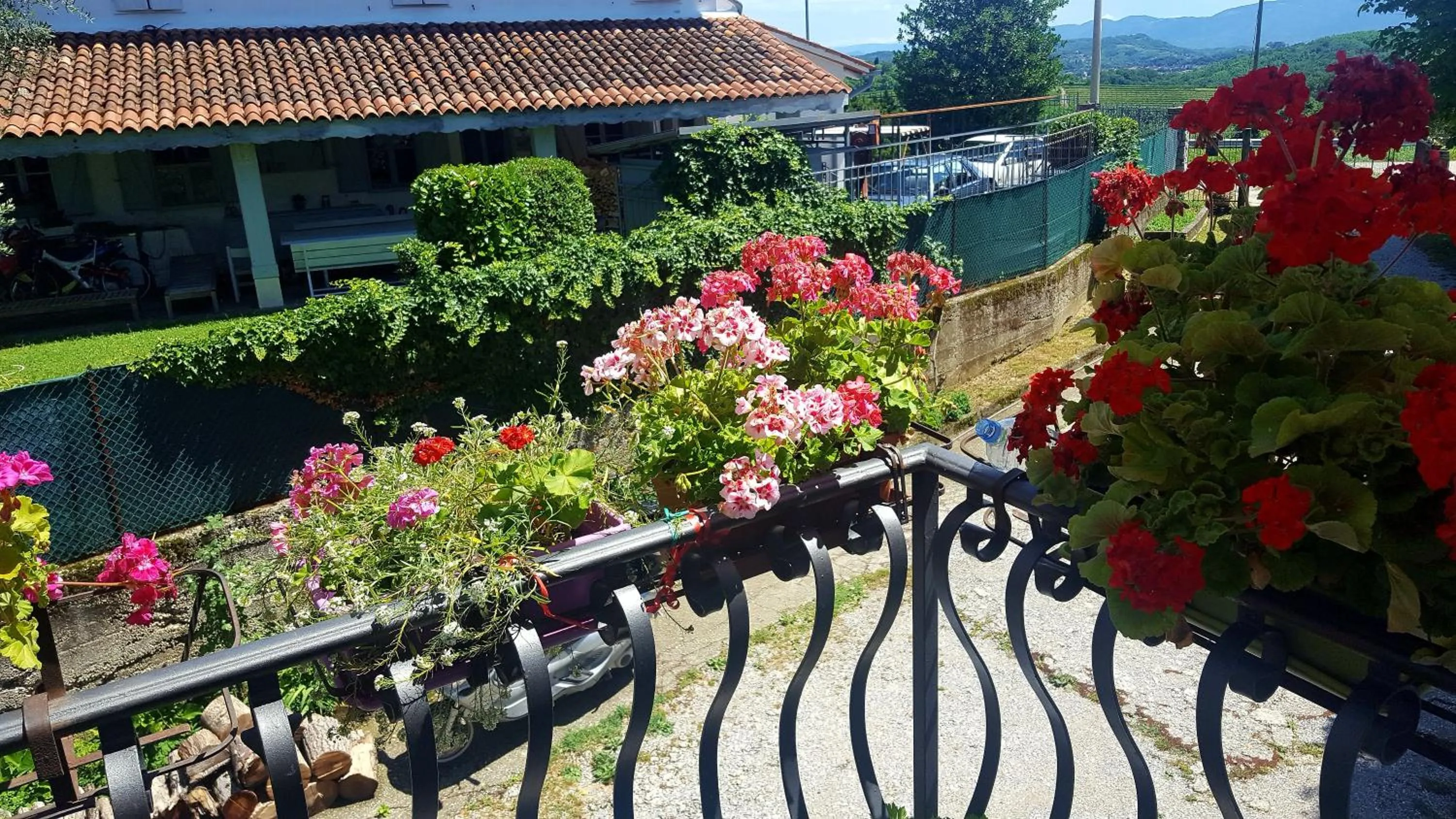 Garden view in CasaRoman