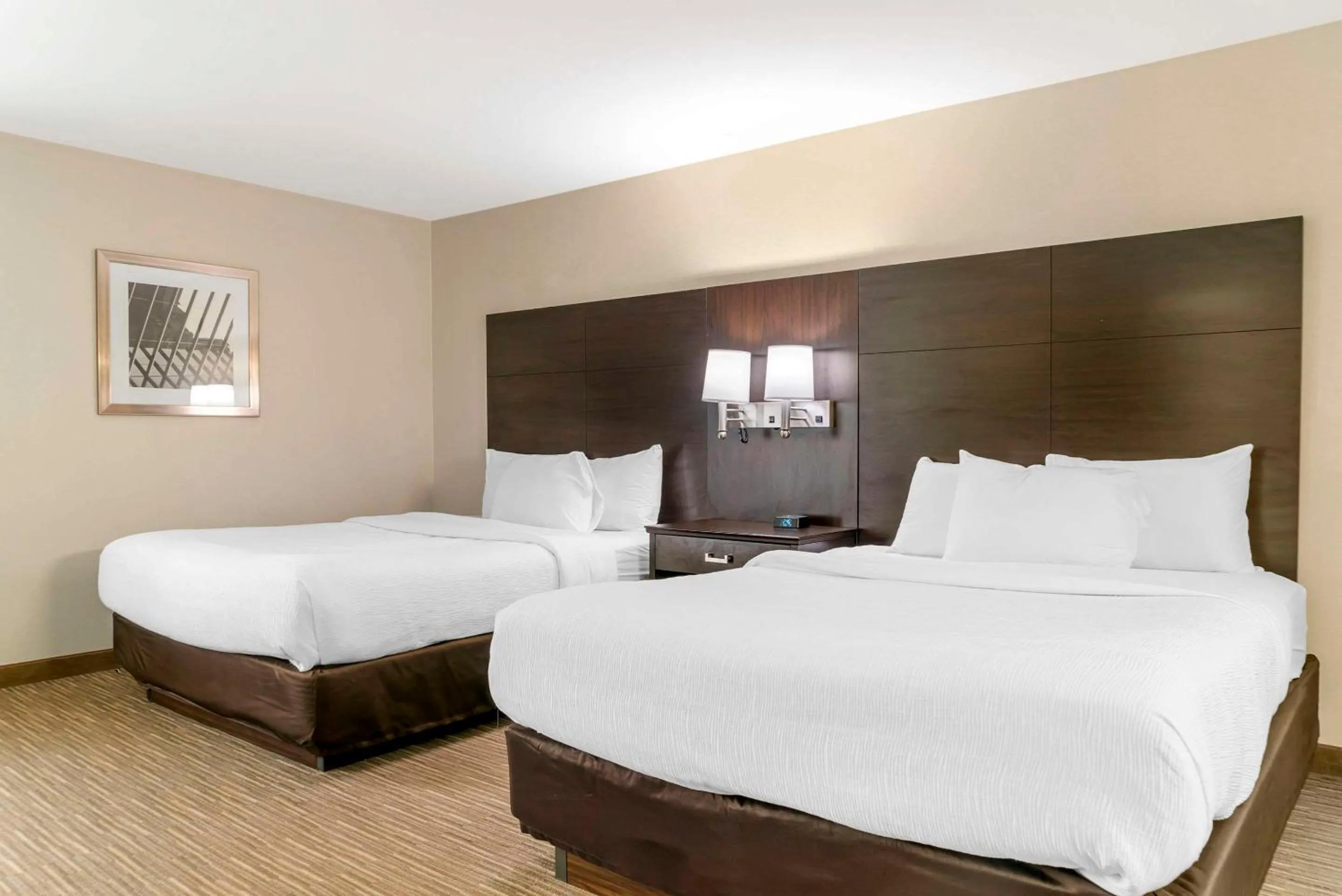 Bedroom, Bed in Quality Inn & Suites Monroe