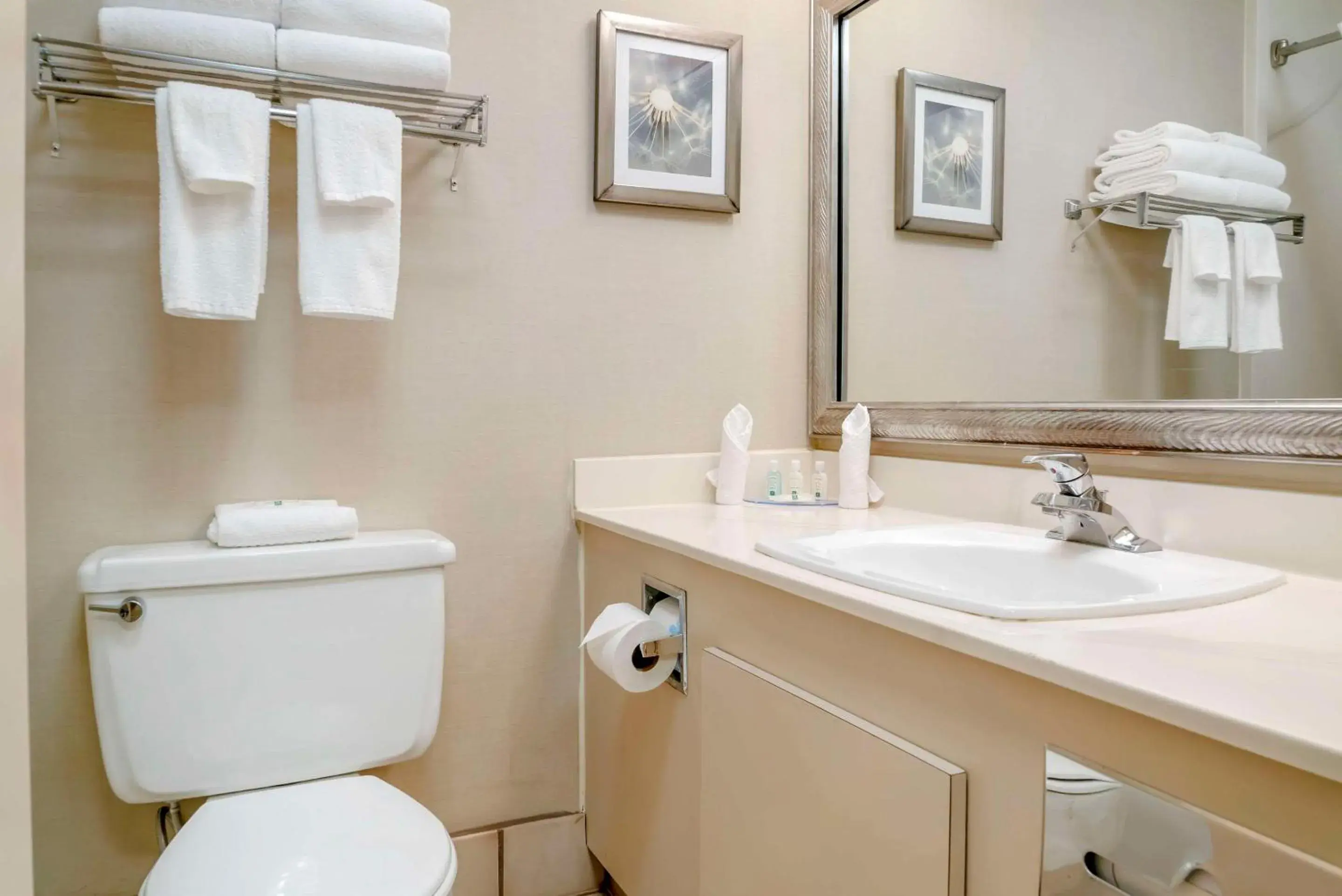 Bedroom in Quality Inn & Suites Monroe Bedroom in Quality Inn & Suites Monroe