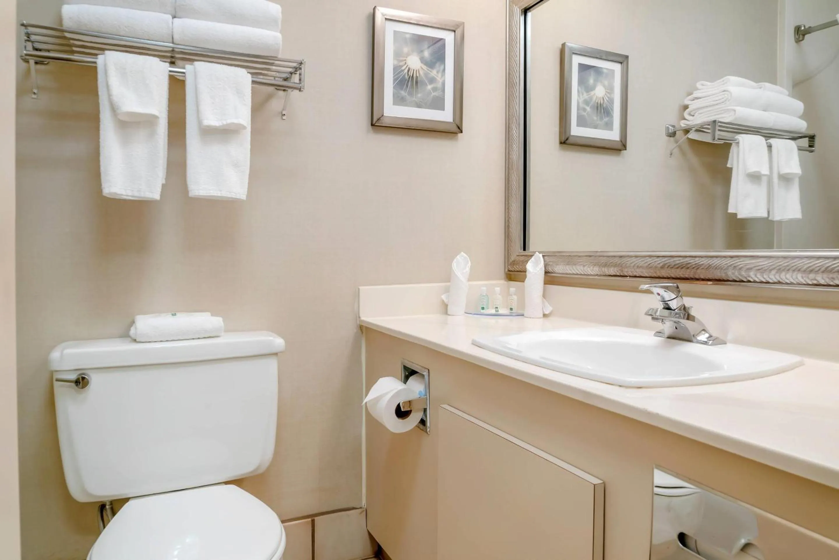 Bedroom in Quality Inn & Suites Monroe