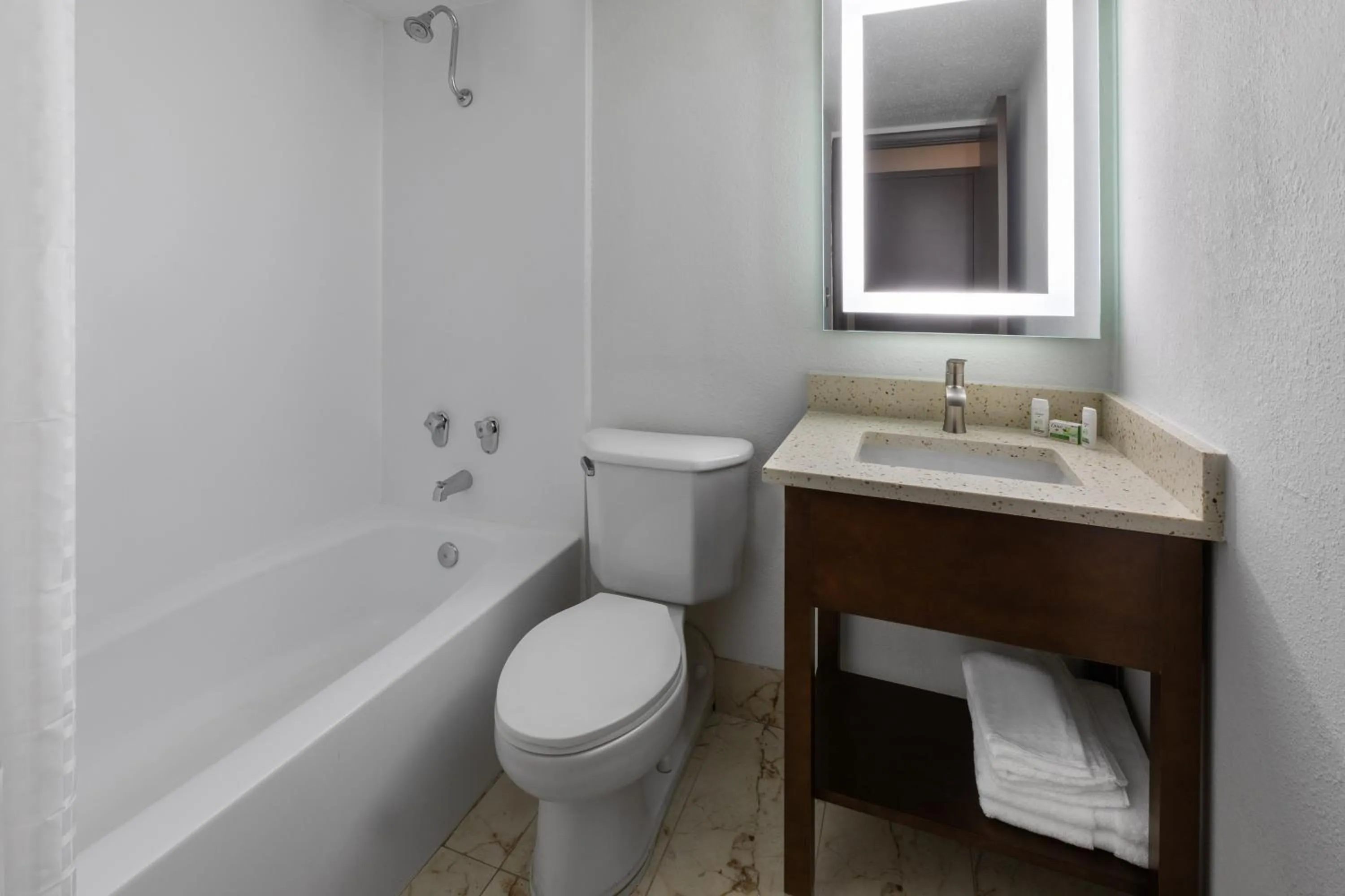 Bathroom in Wingate by Wyndham Troy