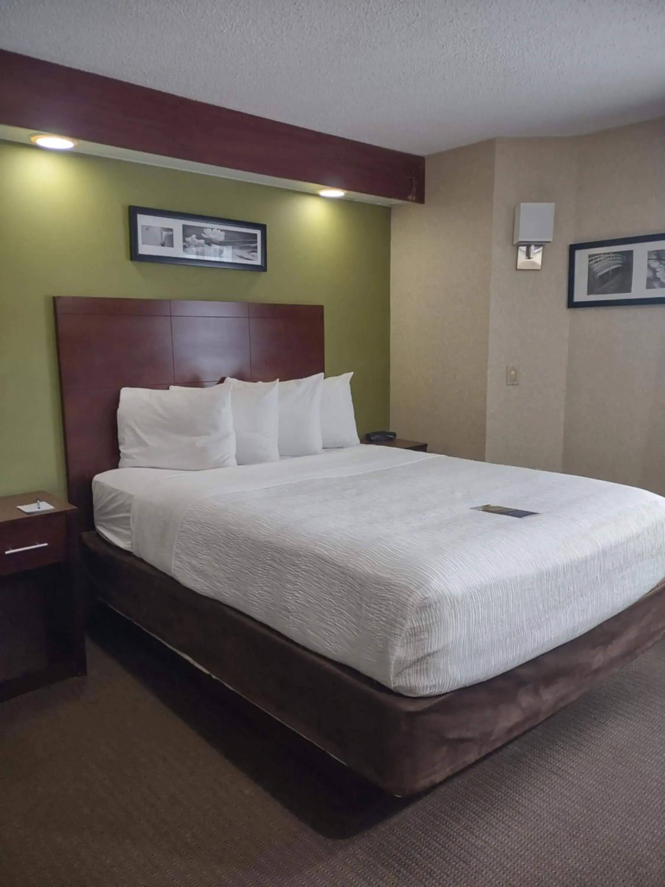 Bed in Baymont by Wyndham Flat Rock Bed in Baymont by Wyndham Flat Rock