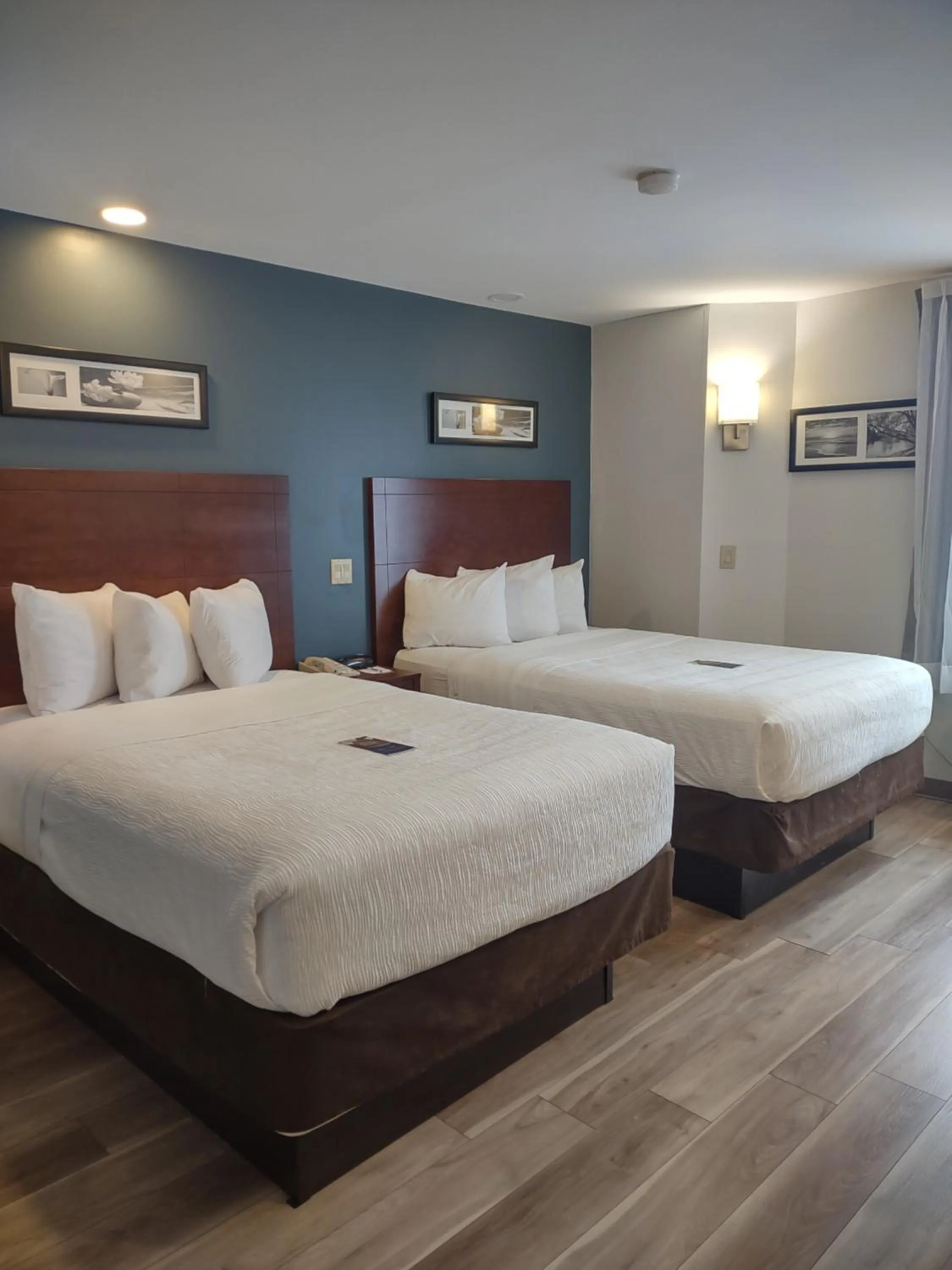 Bed in Baymont by Wyndham Flat Rock