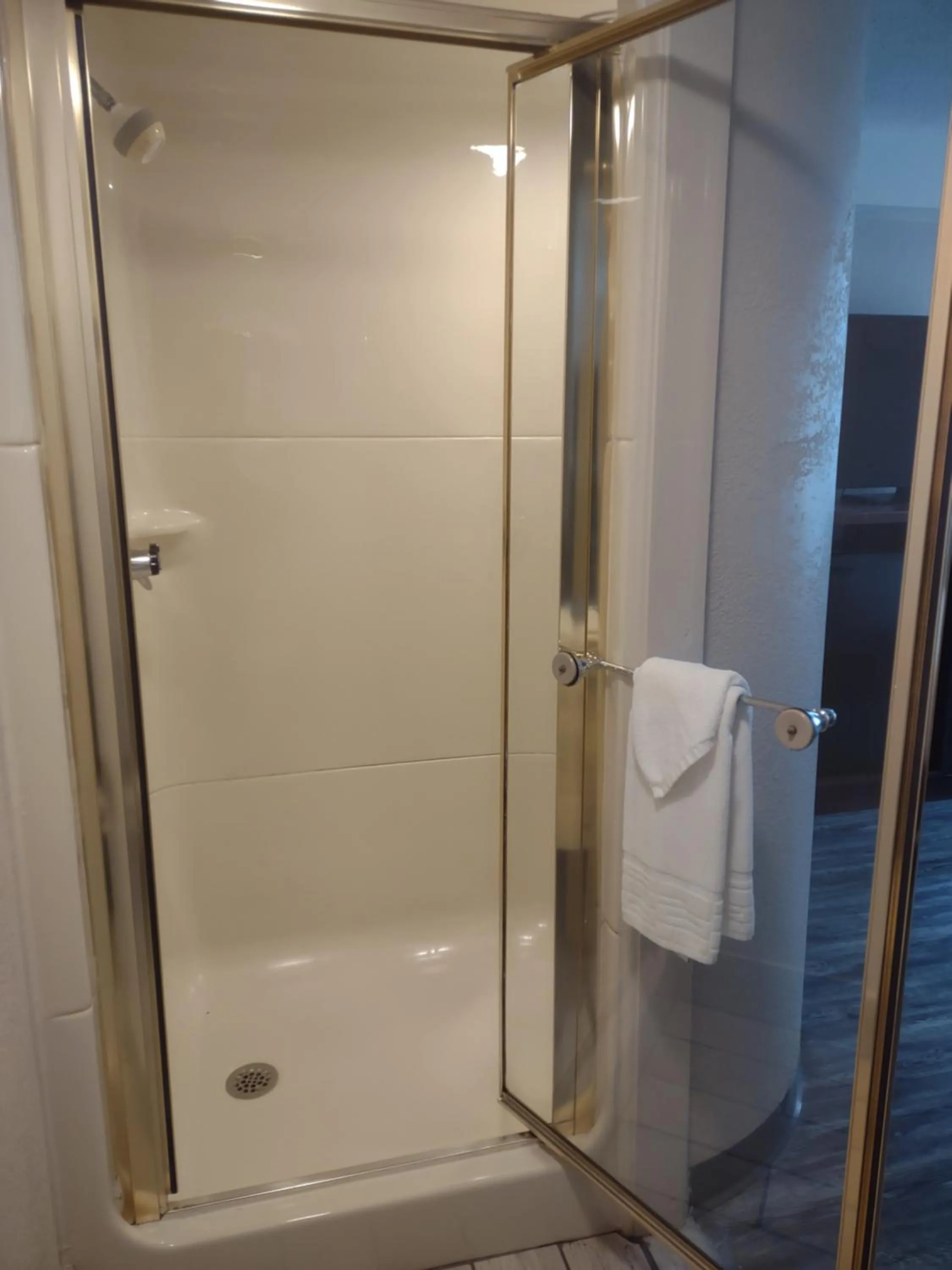 Shower in Baymont by Wyndham Flat Rock