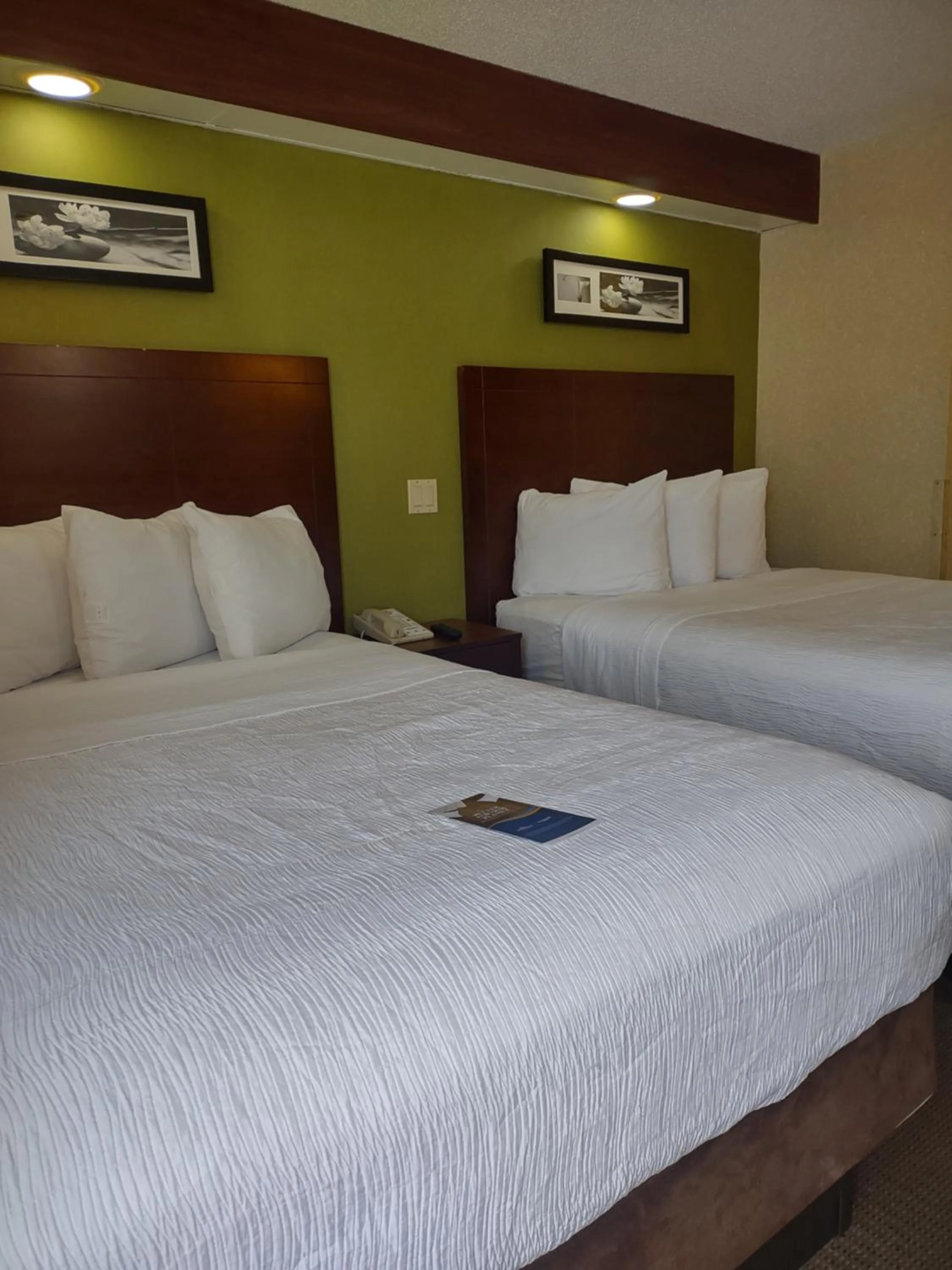 Bed in Baymont by Wyndham Flat Rock