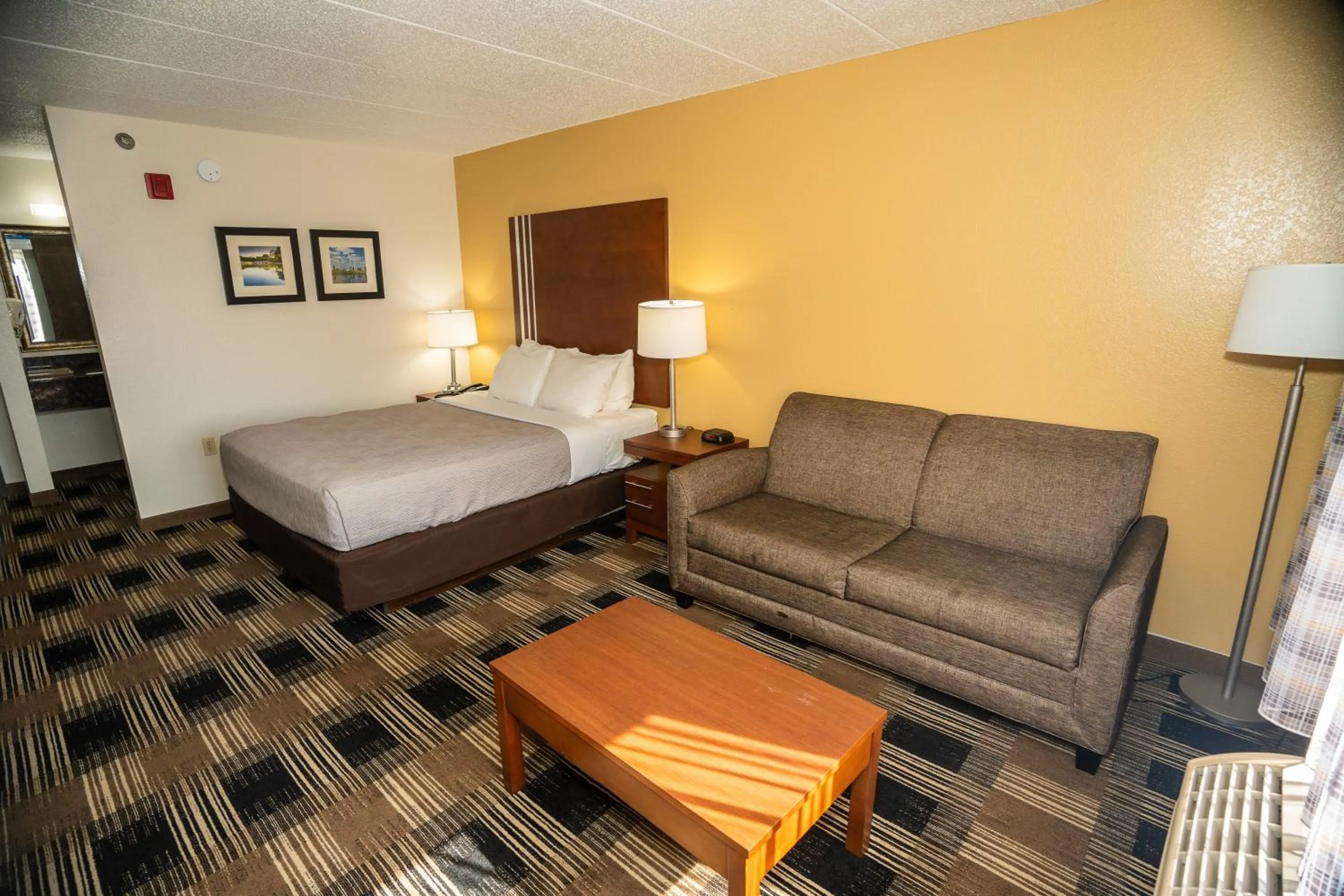 Photo of the whole room, Bed in Quality Inn near Medical Center