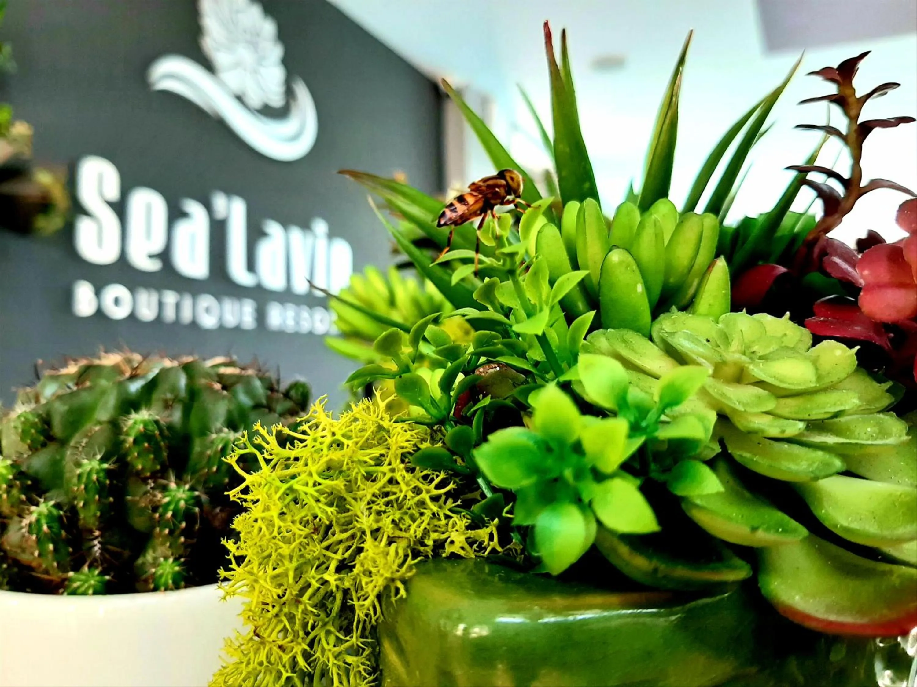 Lobby or reception in Sea Lavie Boutique Resort & Spa