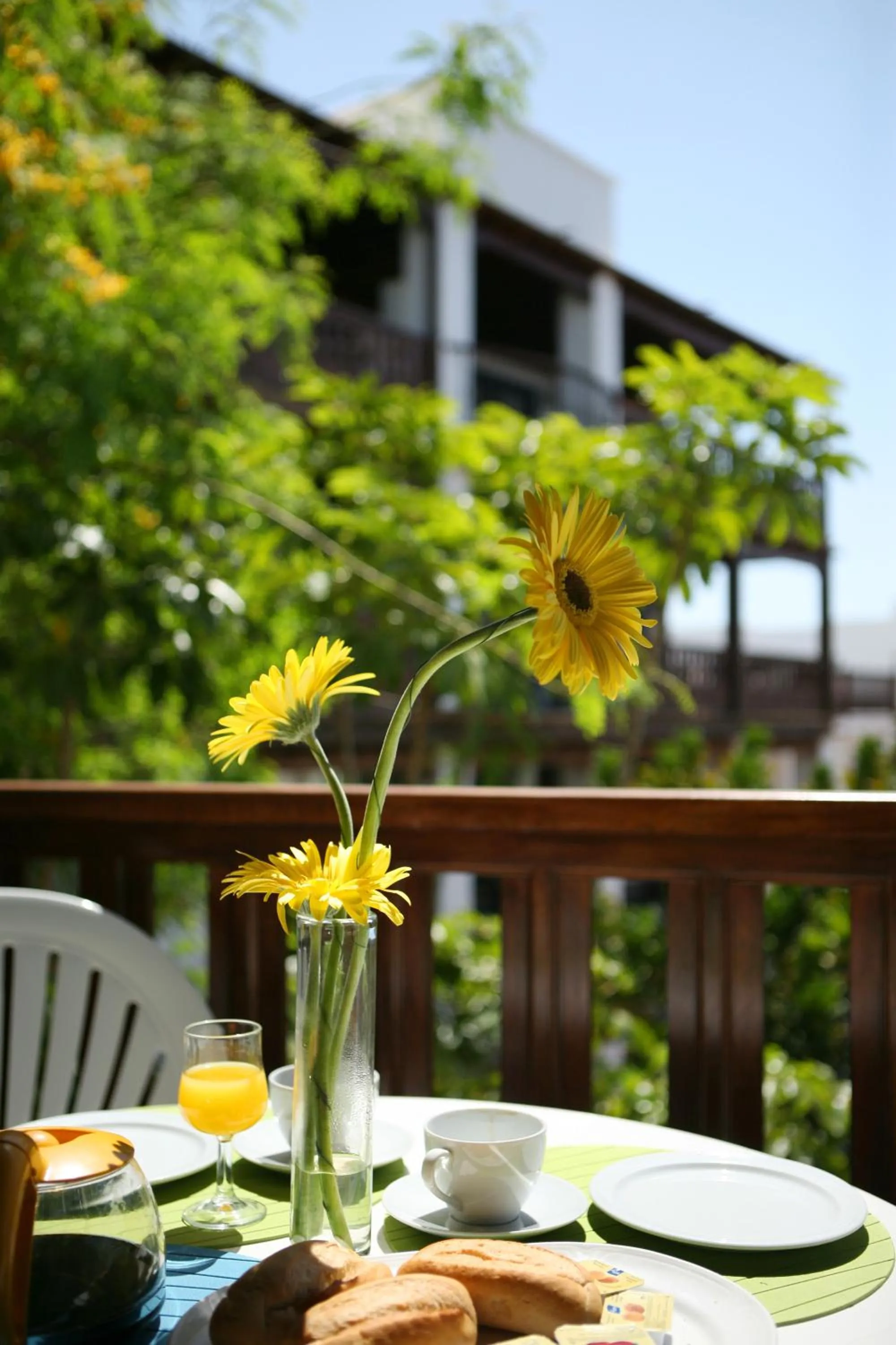 Balcony/Terrace in Nazaret Mansion