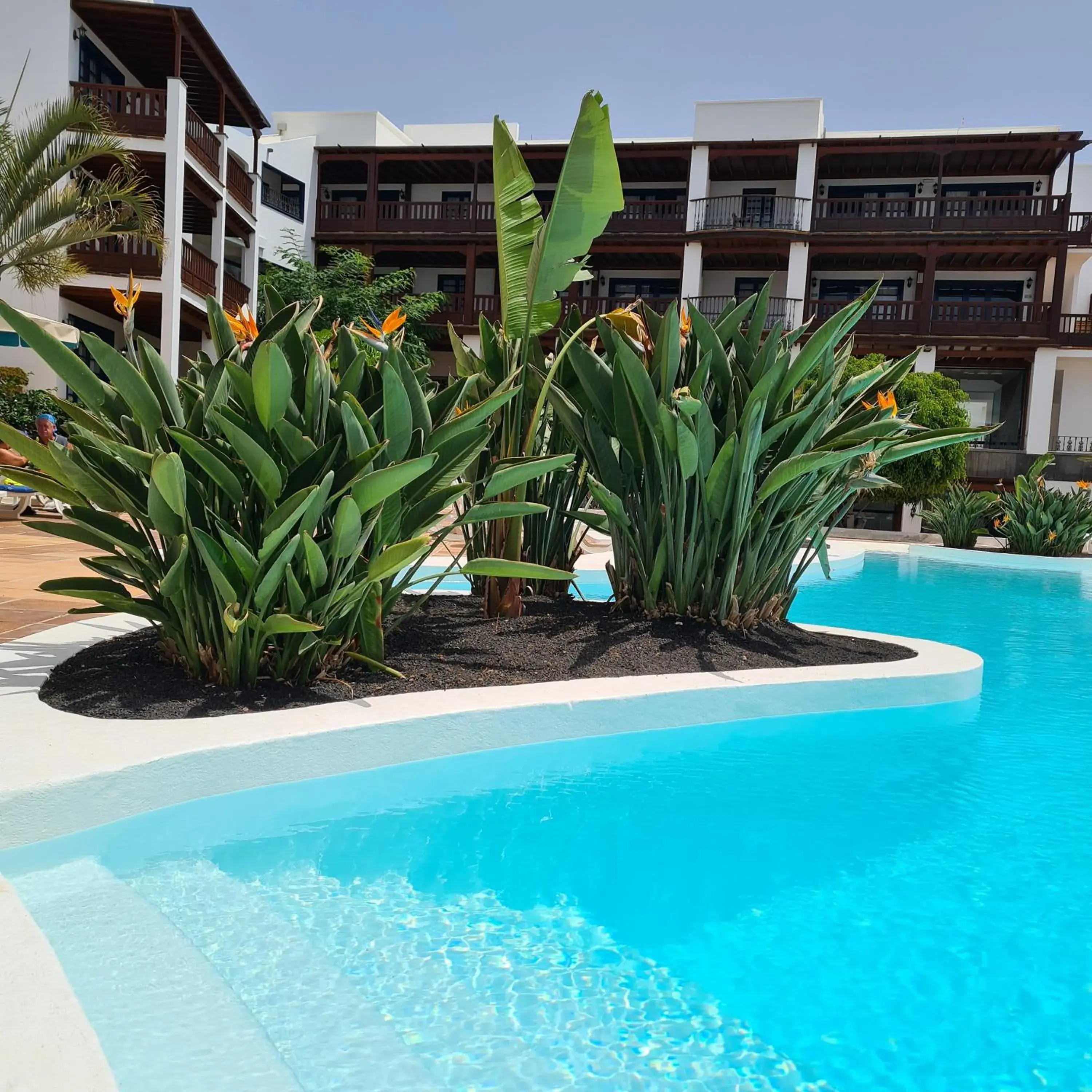 Swimming pool in Nazaret Mansion Swimming pool in Nazaret Mansion