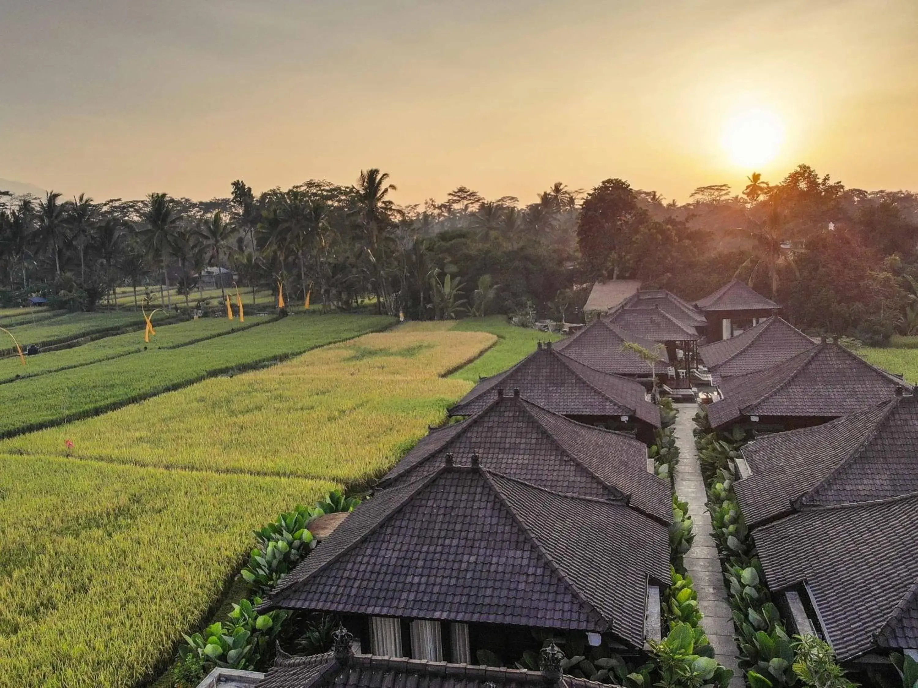 Bird's eye view in Kayangan Villa Ubud Bird's eye view in Kayangan Villa Ubud