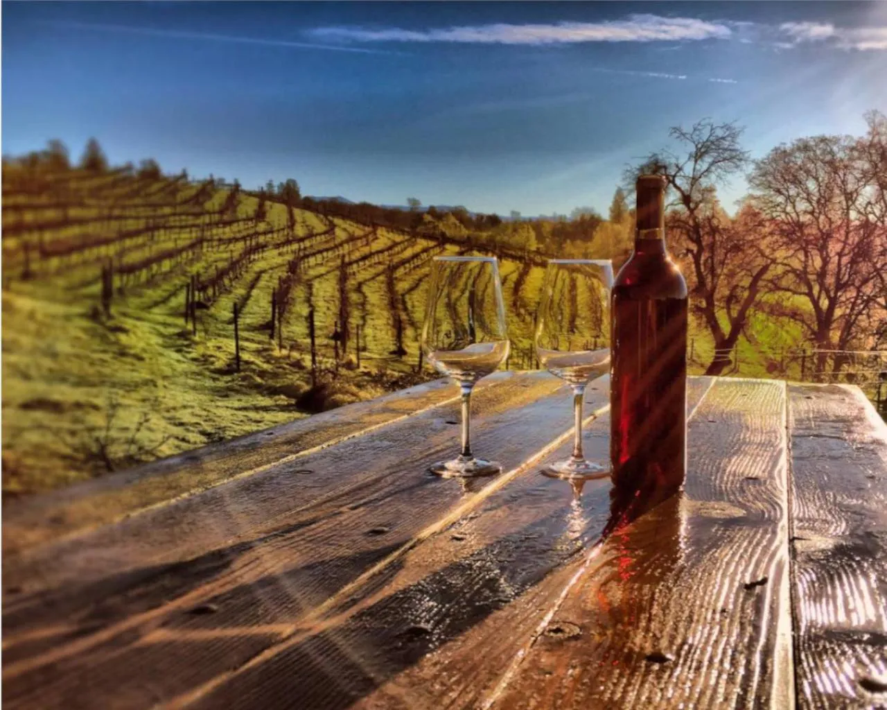 Day in Papillon Cellars - The Loft