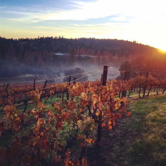 Natural landscape in Papillon Cellars - The Loft