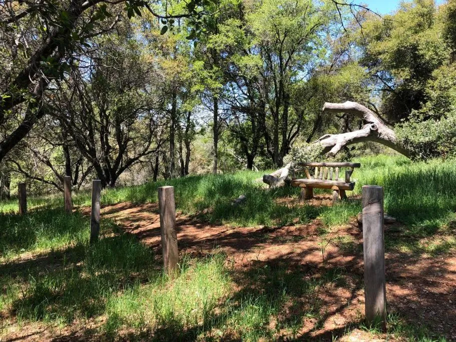 Natural landscape in Papillon Cellars - The Loft