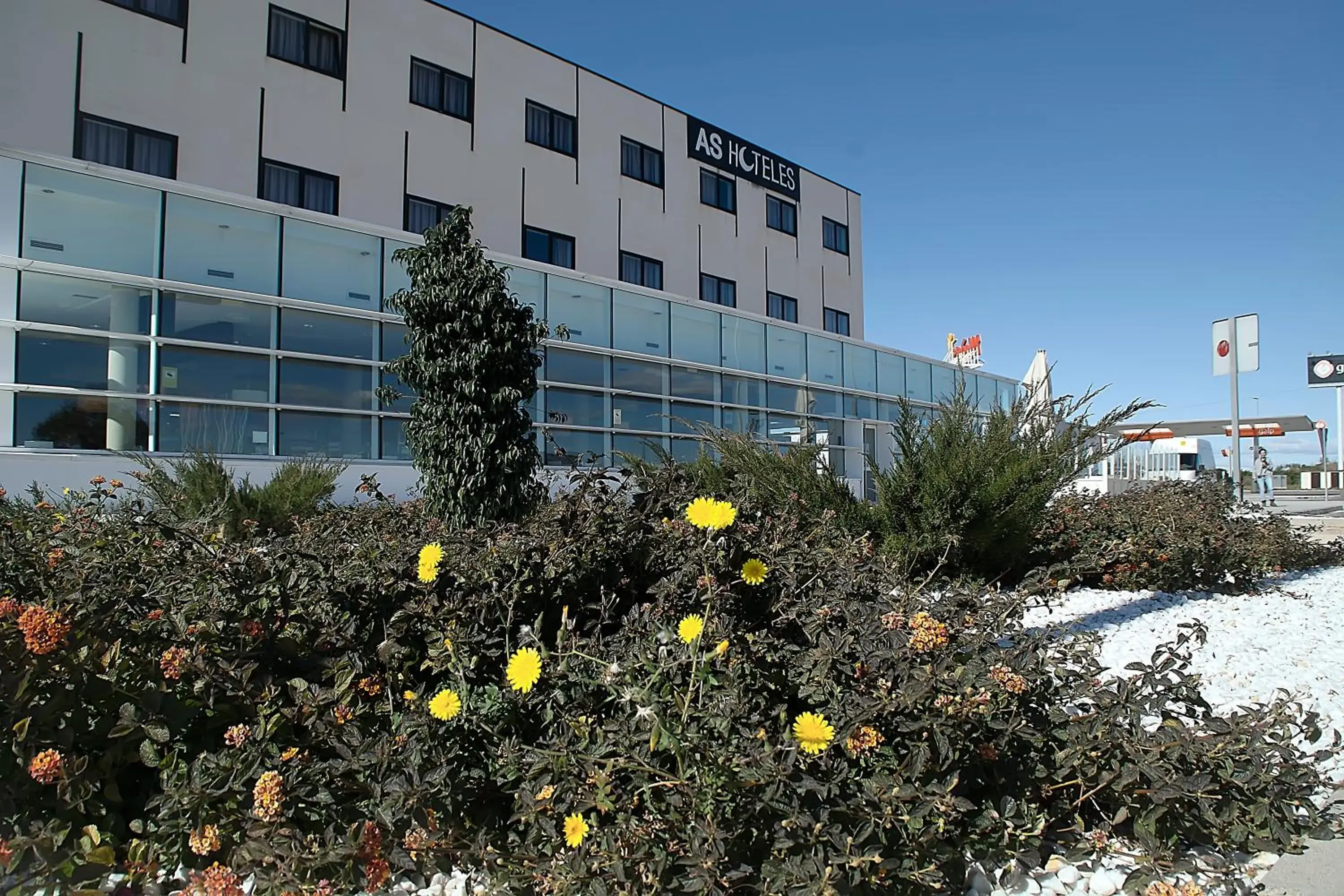 Lobby or reception in Hotel AS Torrent Lobby or reception in Hotel AS Torrent