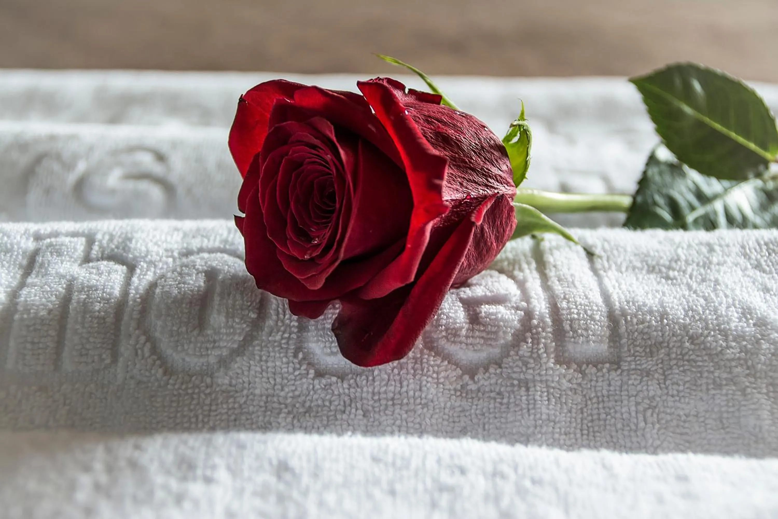 Decorative detail in Hotel AS Torrent