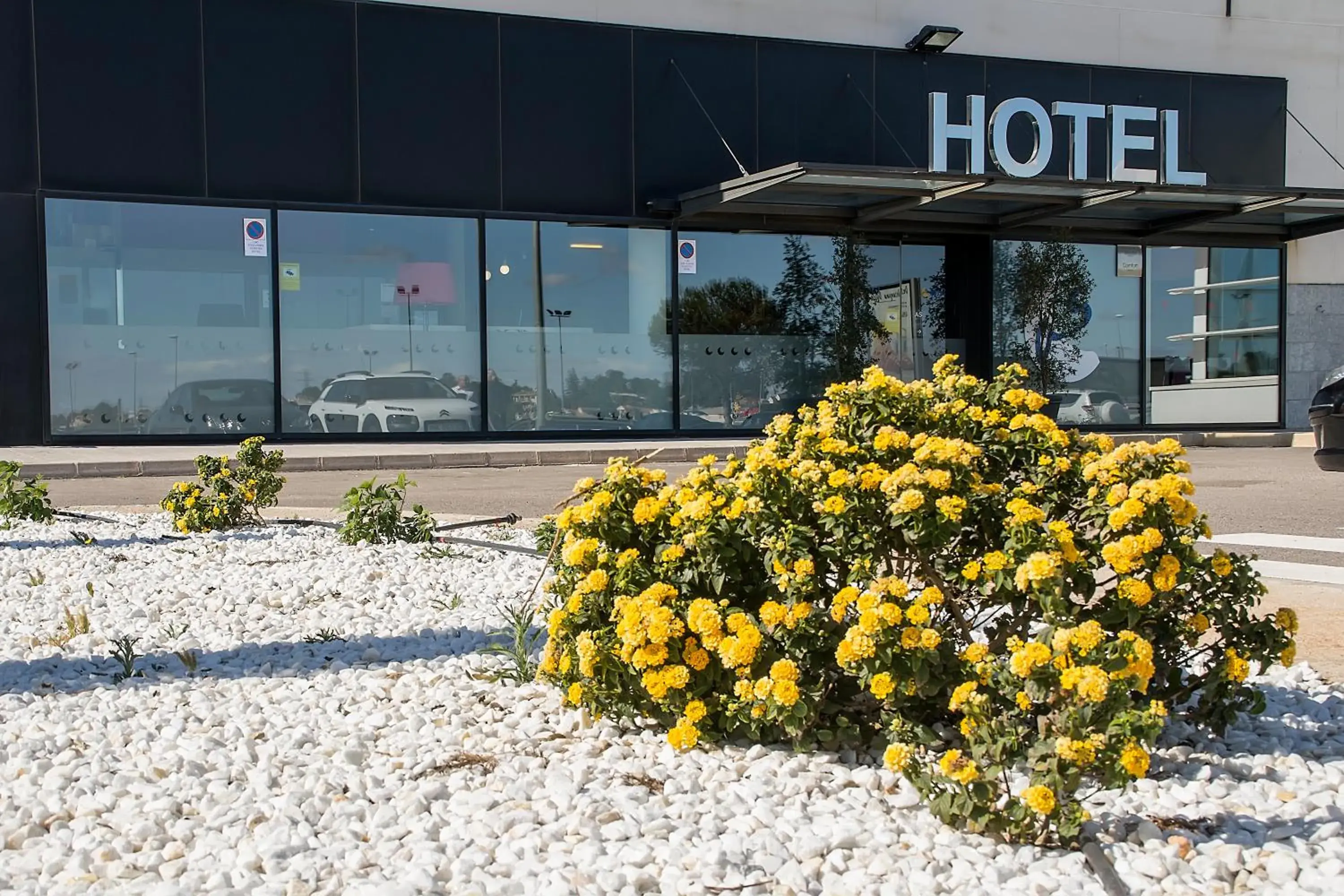 Facade/entrance in Hotel AS Torrent Facade/entrance in Hotel AS Torrent