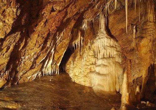 Natural landscape in Hotel i Restauracja ABIS