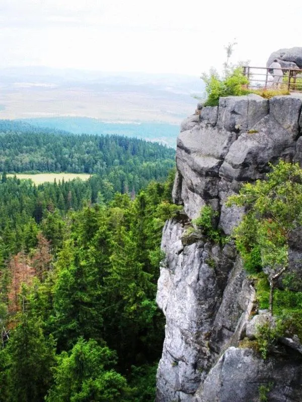 Natural landscape in Hotel i Restauracja ABIS