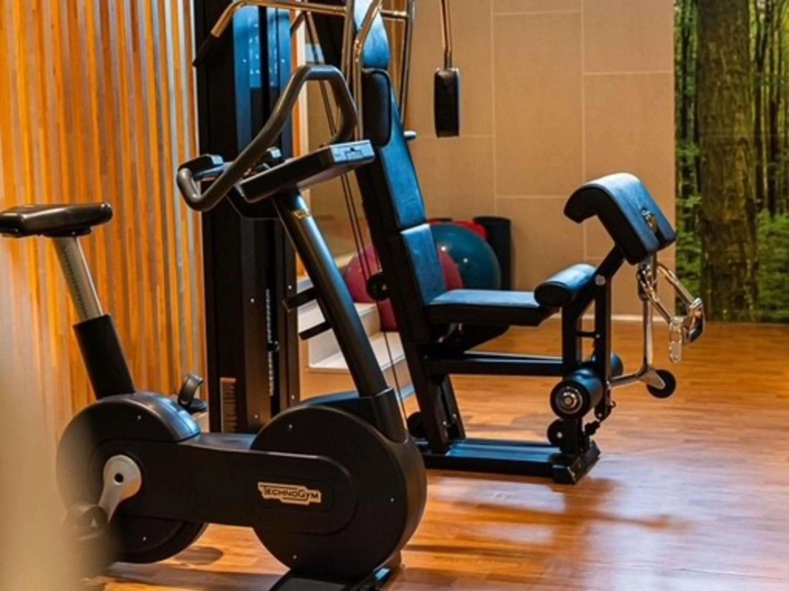 Fitness centre/facilities in Ibis Styles Madrid City Las Ventas