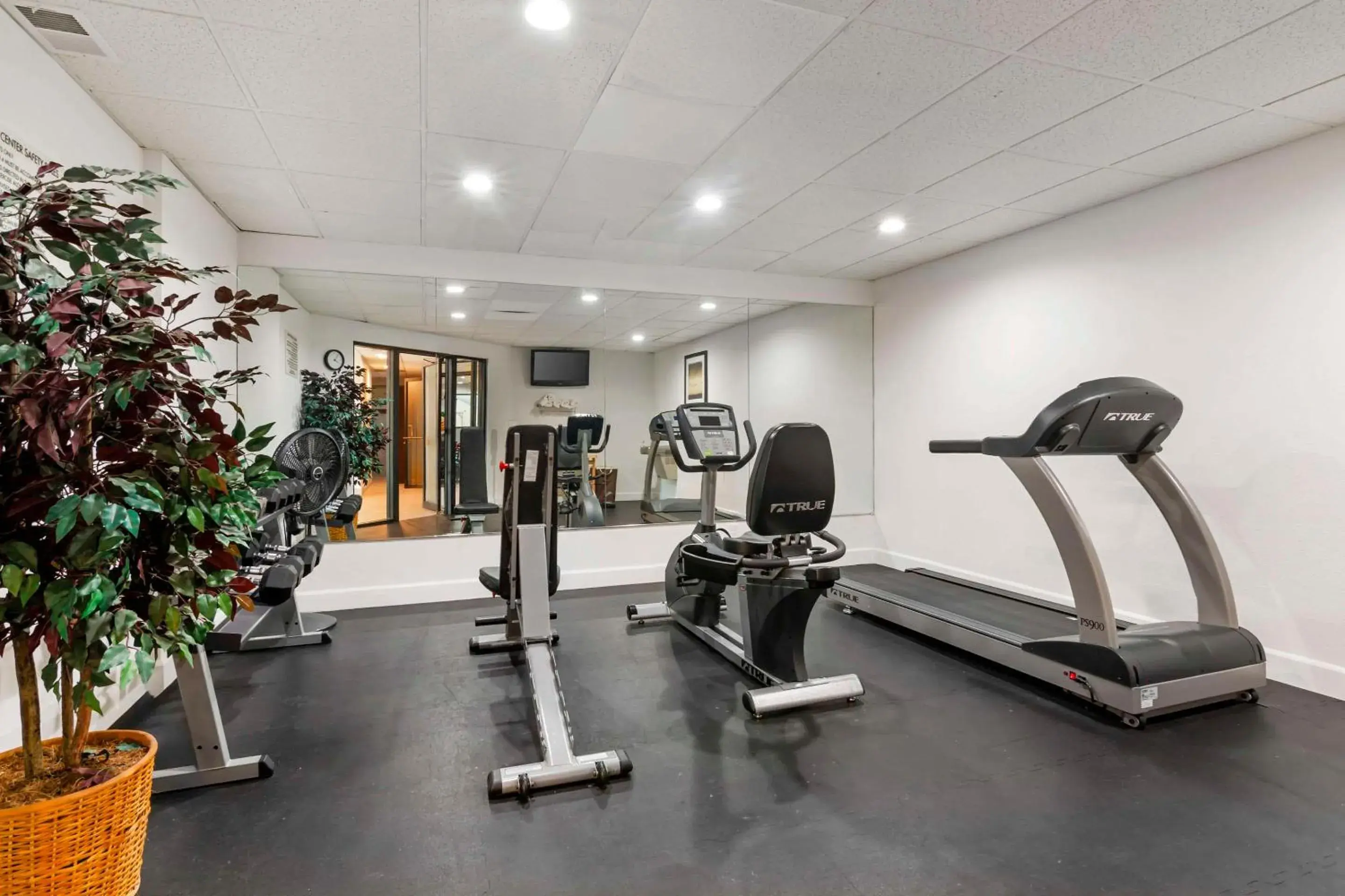 Fitness centre/facilities in Quality Inn Fitness centre/facilities in Quality Inn