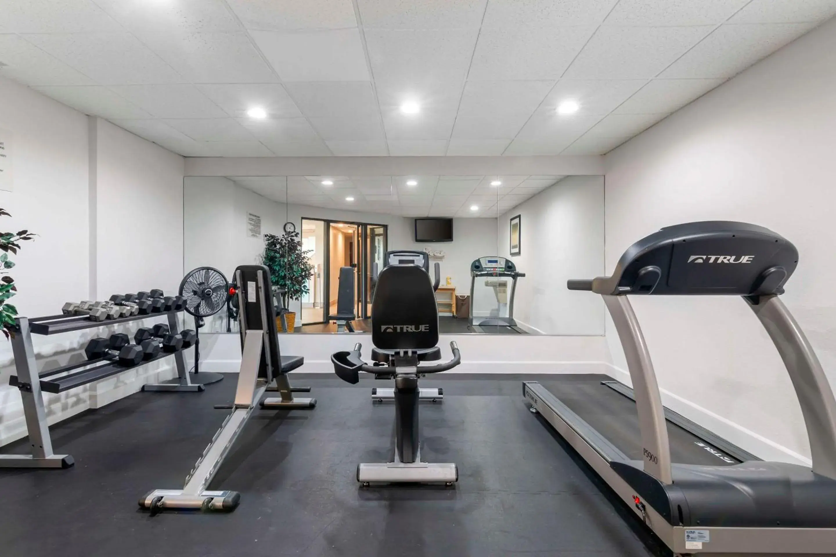 Fitness centre/facilities in Quality Inn Fitness centre/facilities in Quality Inn