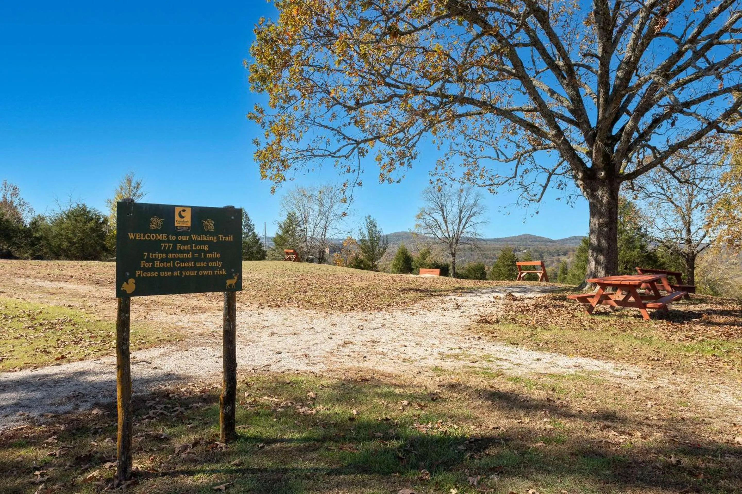 Other in Comfort Inn & Suites Branson Meadows