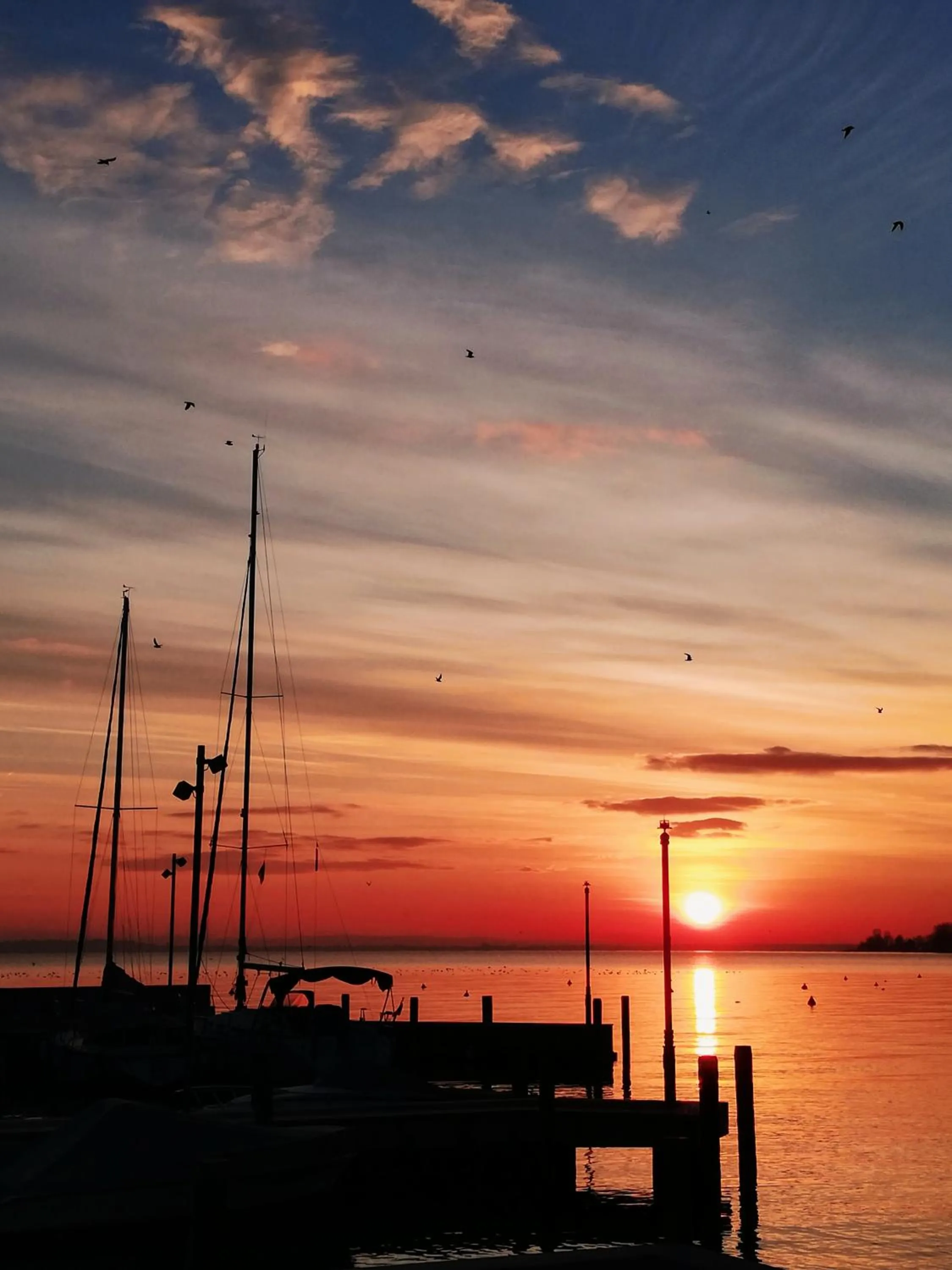 Day in Bed & Breakfast IL PAJO