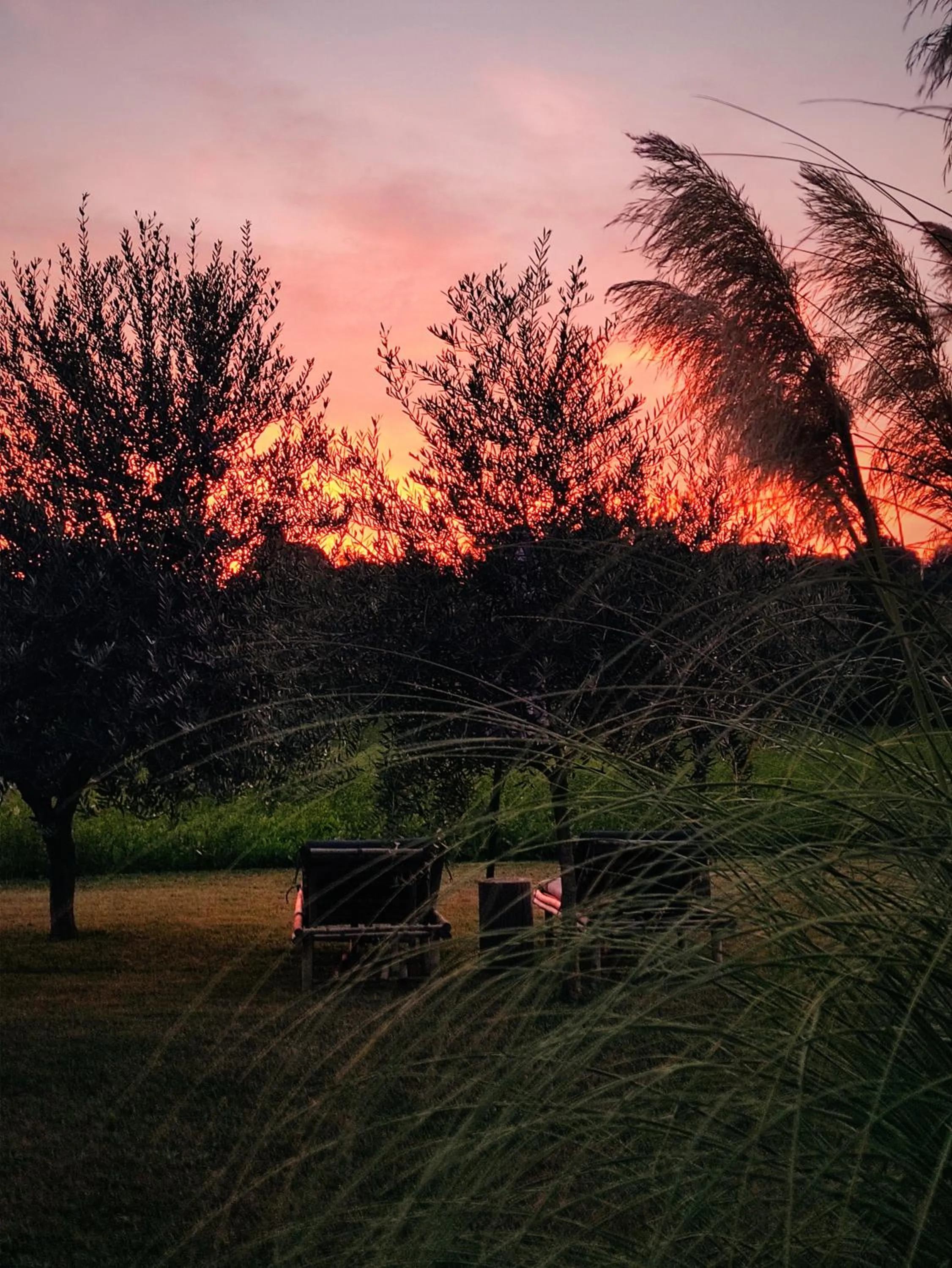 Natural landscape in Bed & Breakfast IL PAJO