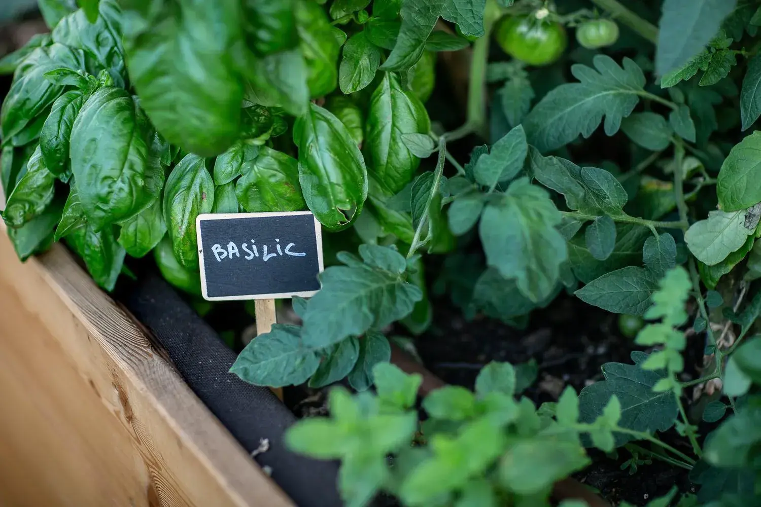 Property building in Eklo Bordeaux Centre Bastide Property building in Eklo Bordeaux Centre Bastide