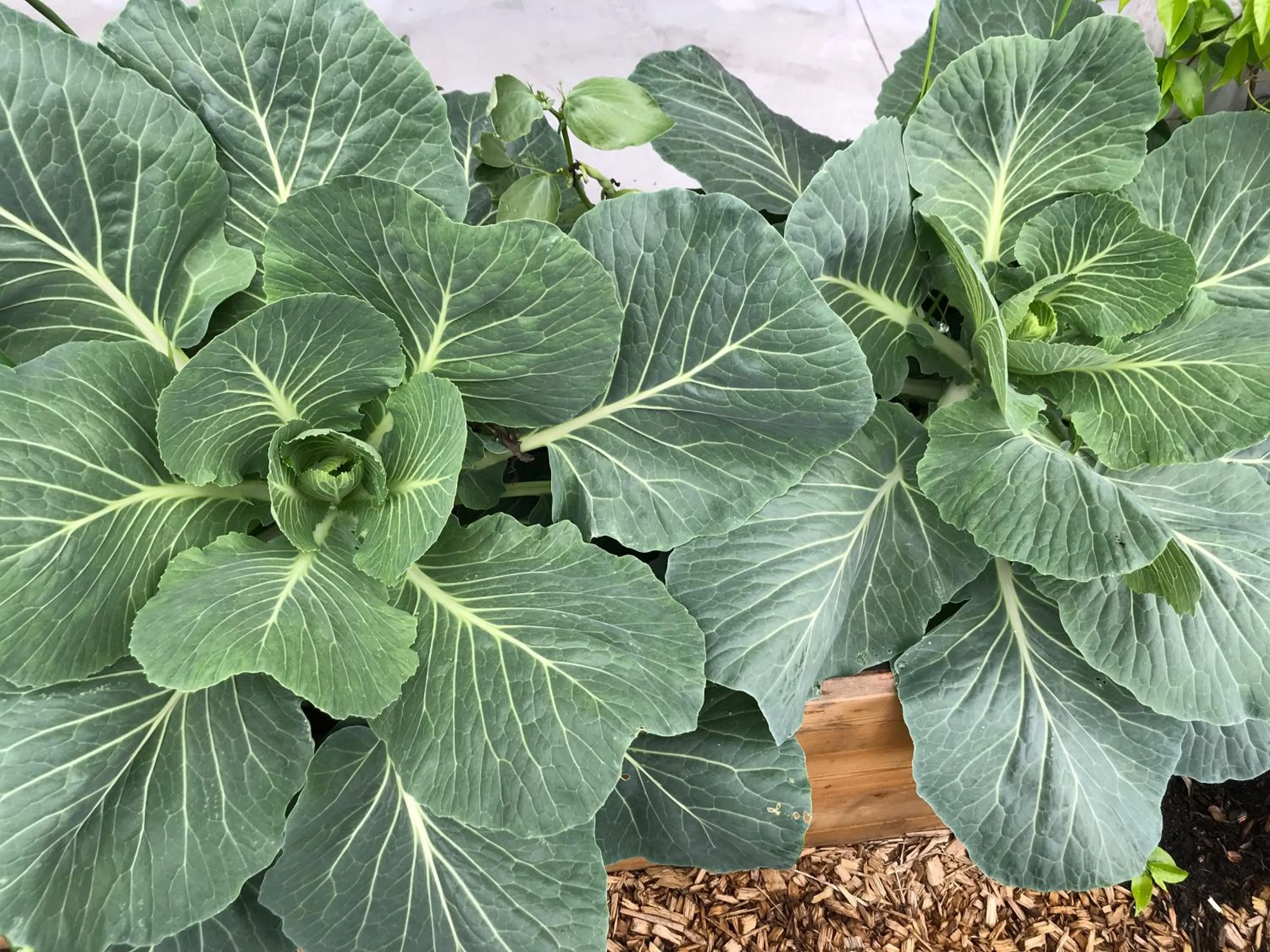 Natural landscape in Eklo Hotels Bordeaux Centre Bastide