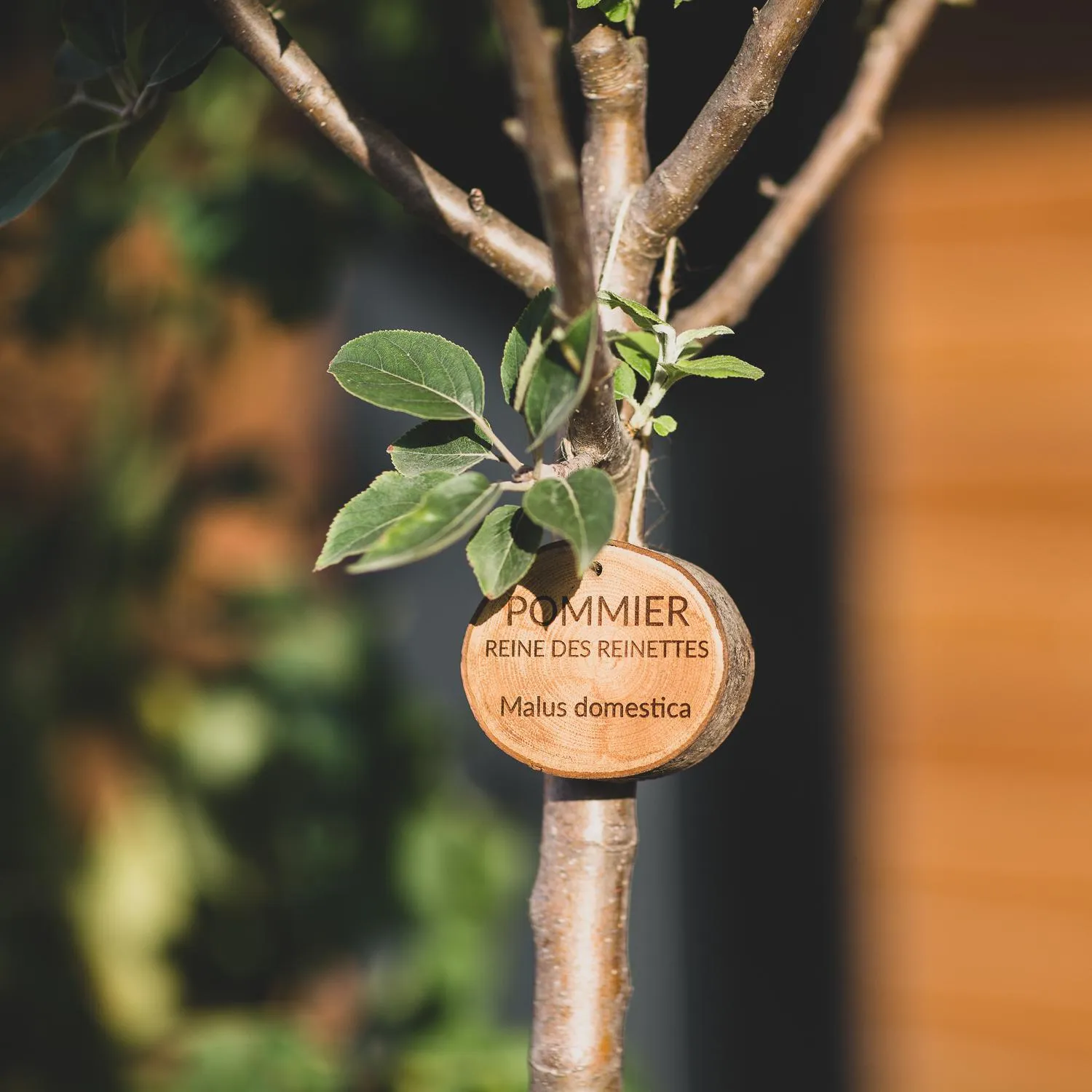 Garden in Eklo Hotels Bordeaux Centre Bastide