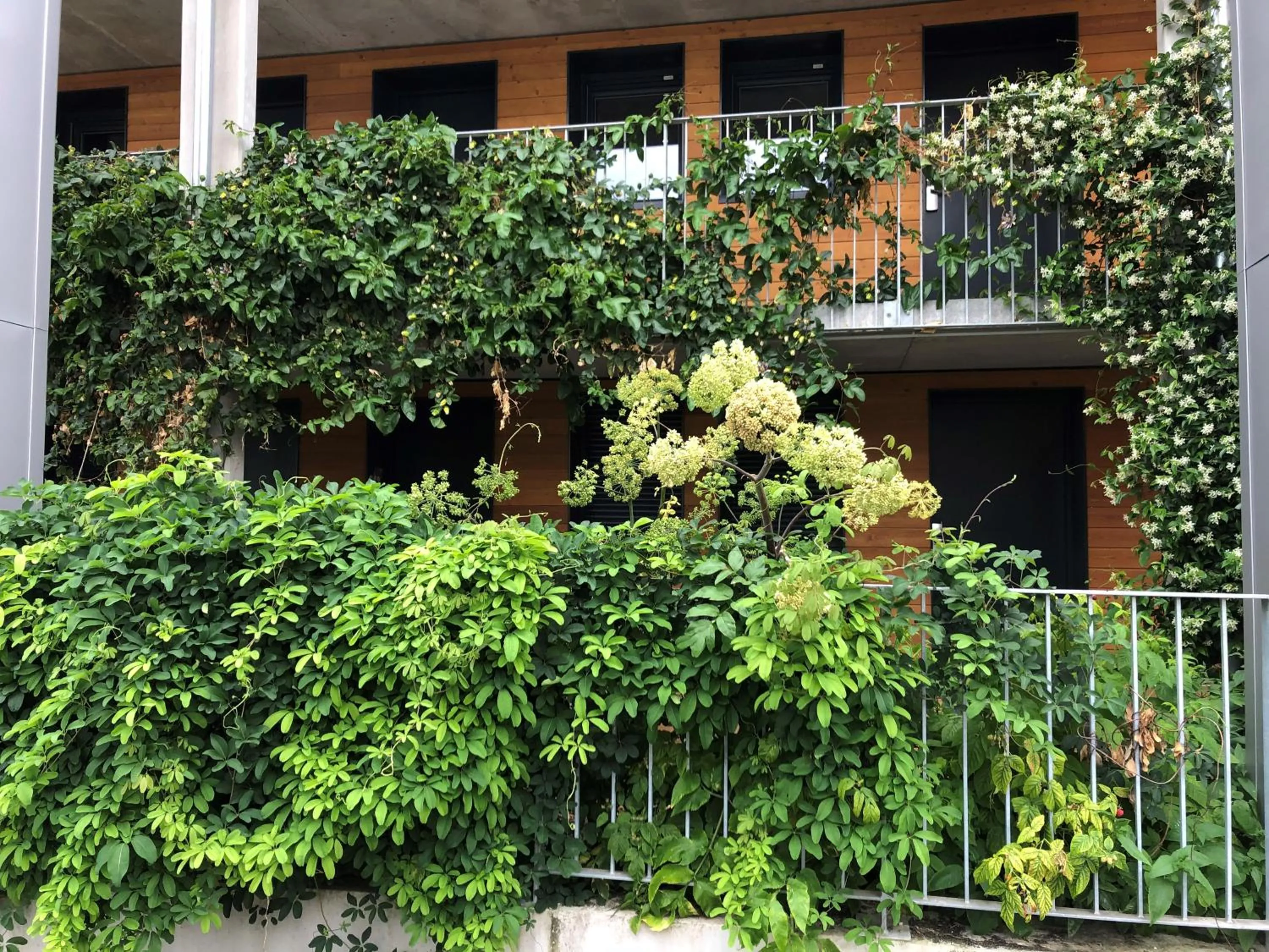Garden in Eklo Hotels Bordeaux Centre Bastide