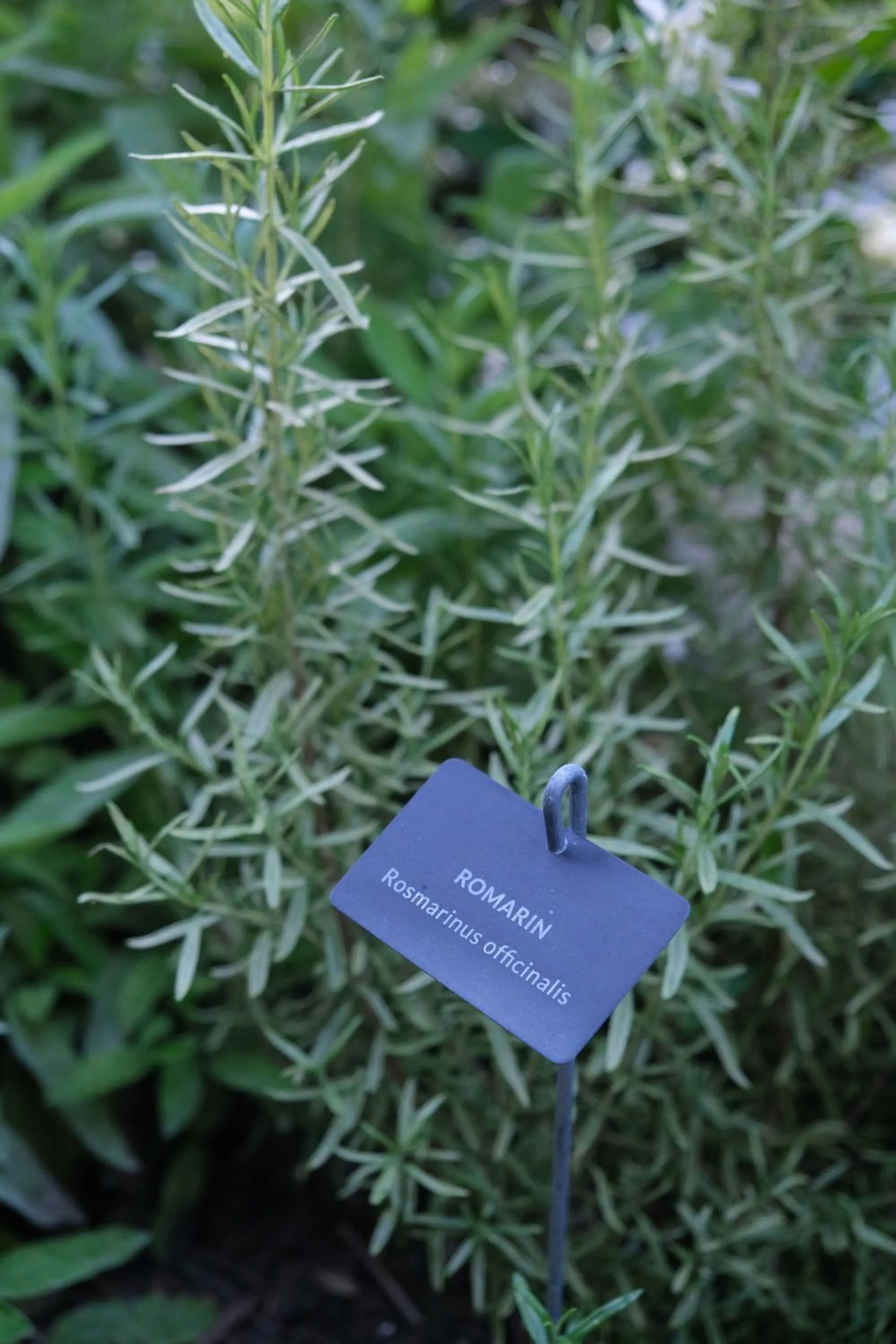 Garden in Eklo Hotels Bordeaux Centre Bastide