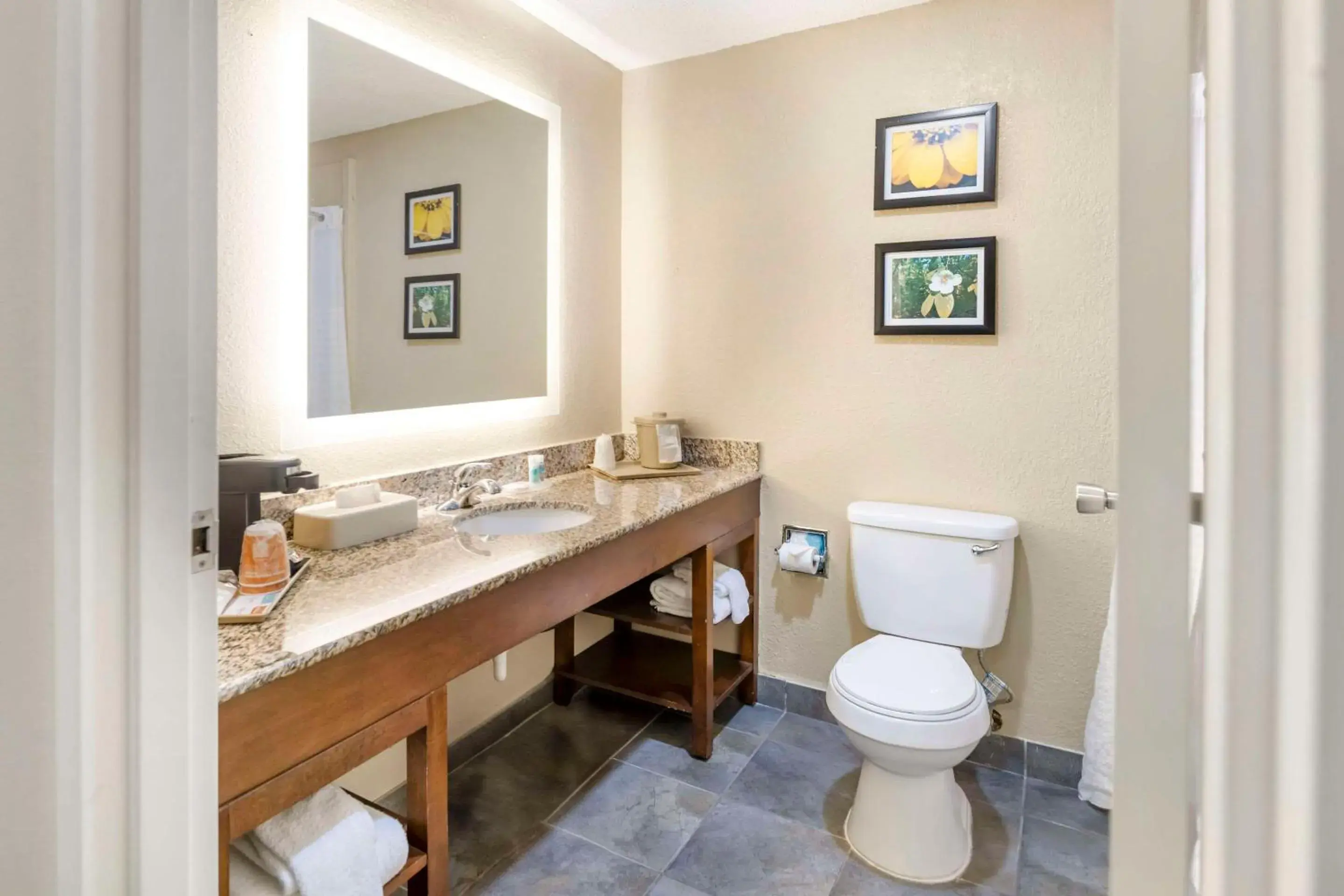 Bedroom in Comfort Inn Meridian - Bonita Lakes Bedroom in Comfort Inn Meridian - Bonita Lakes