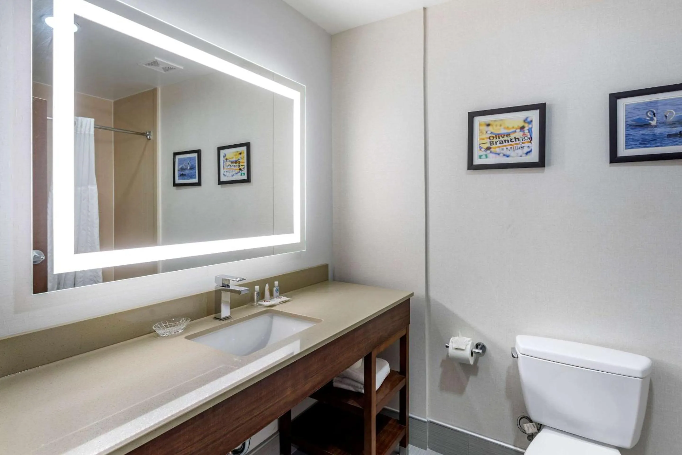 Bedroom in Comfort Suites Olive Branch - Memphis South