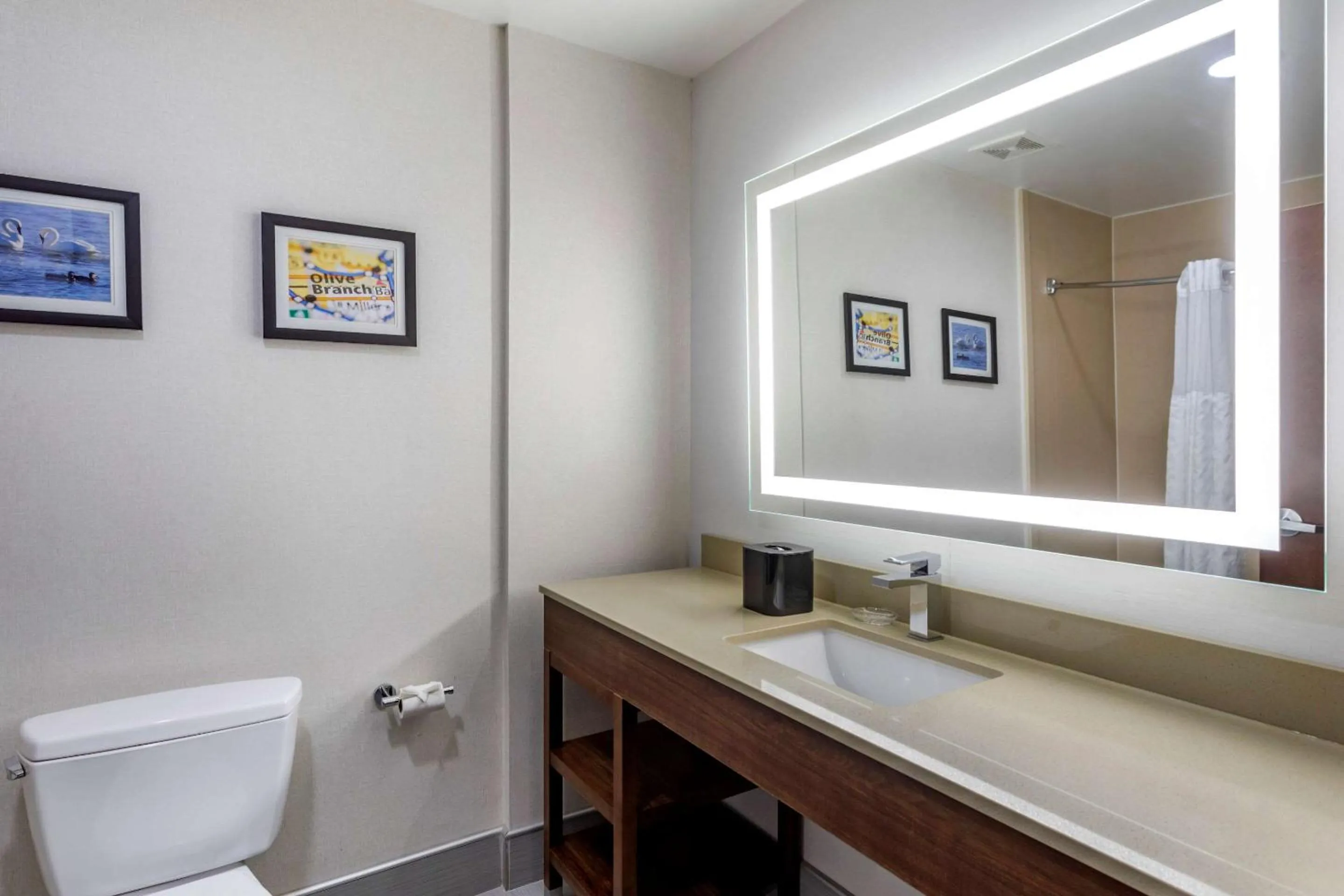 Bedroom in Comfort Suites Olive Branch - Memphis South