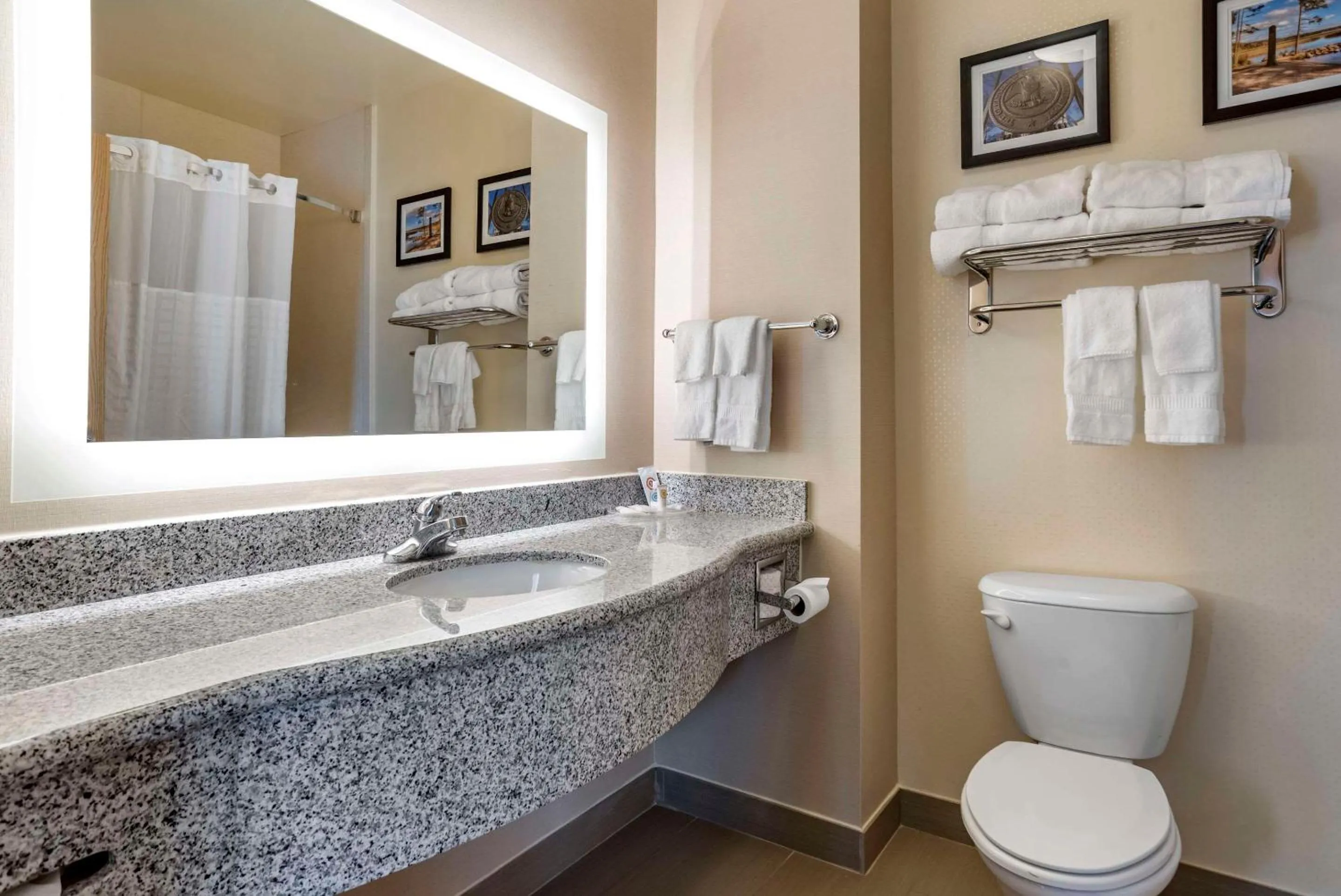 Bedroom in Comfort Suites Flowood - Jackson Airport