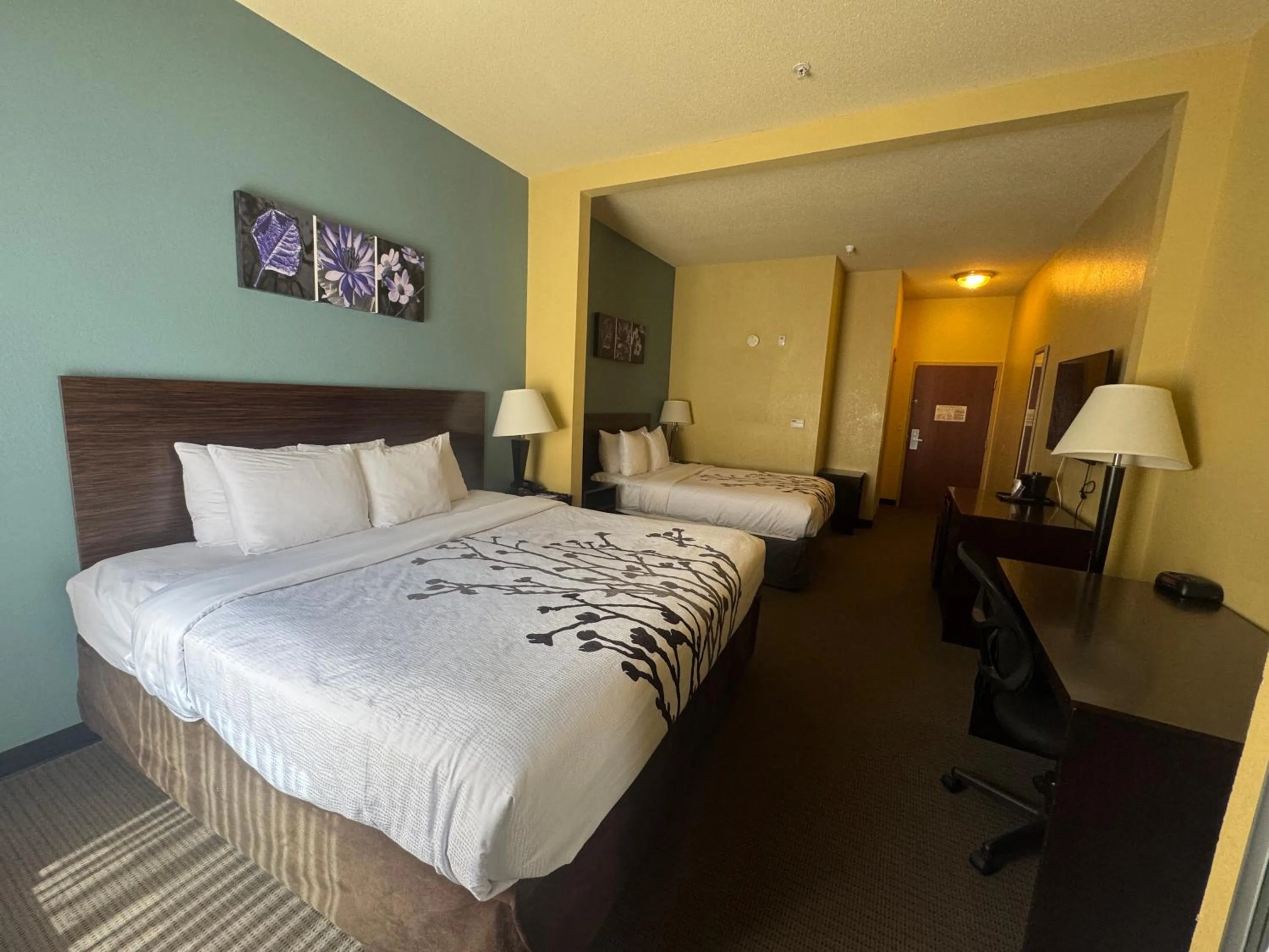 Bed in Sleep Inn & Suites Hattiesburg North