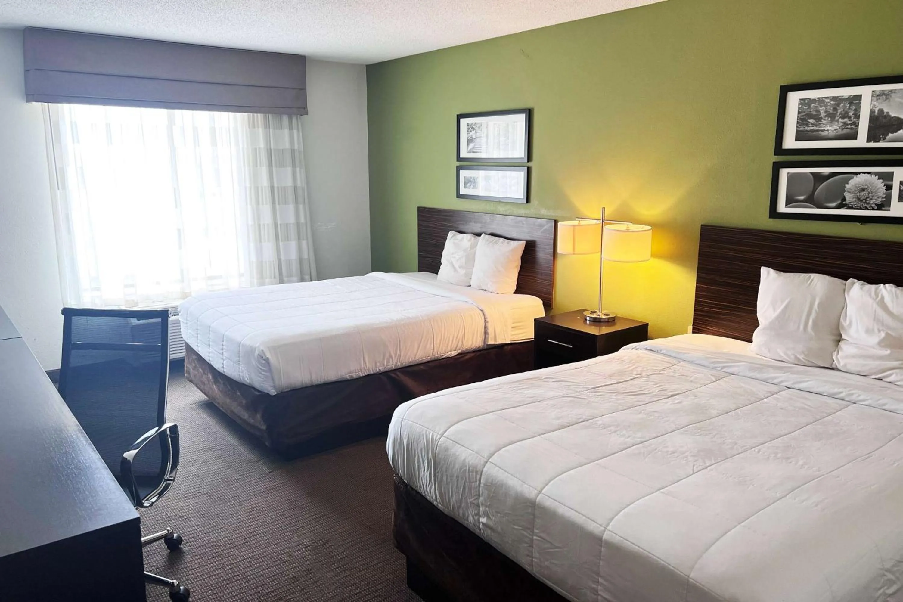 Photo of the whole room in Ramada by Wyndham Jackson MS