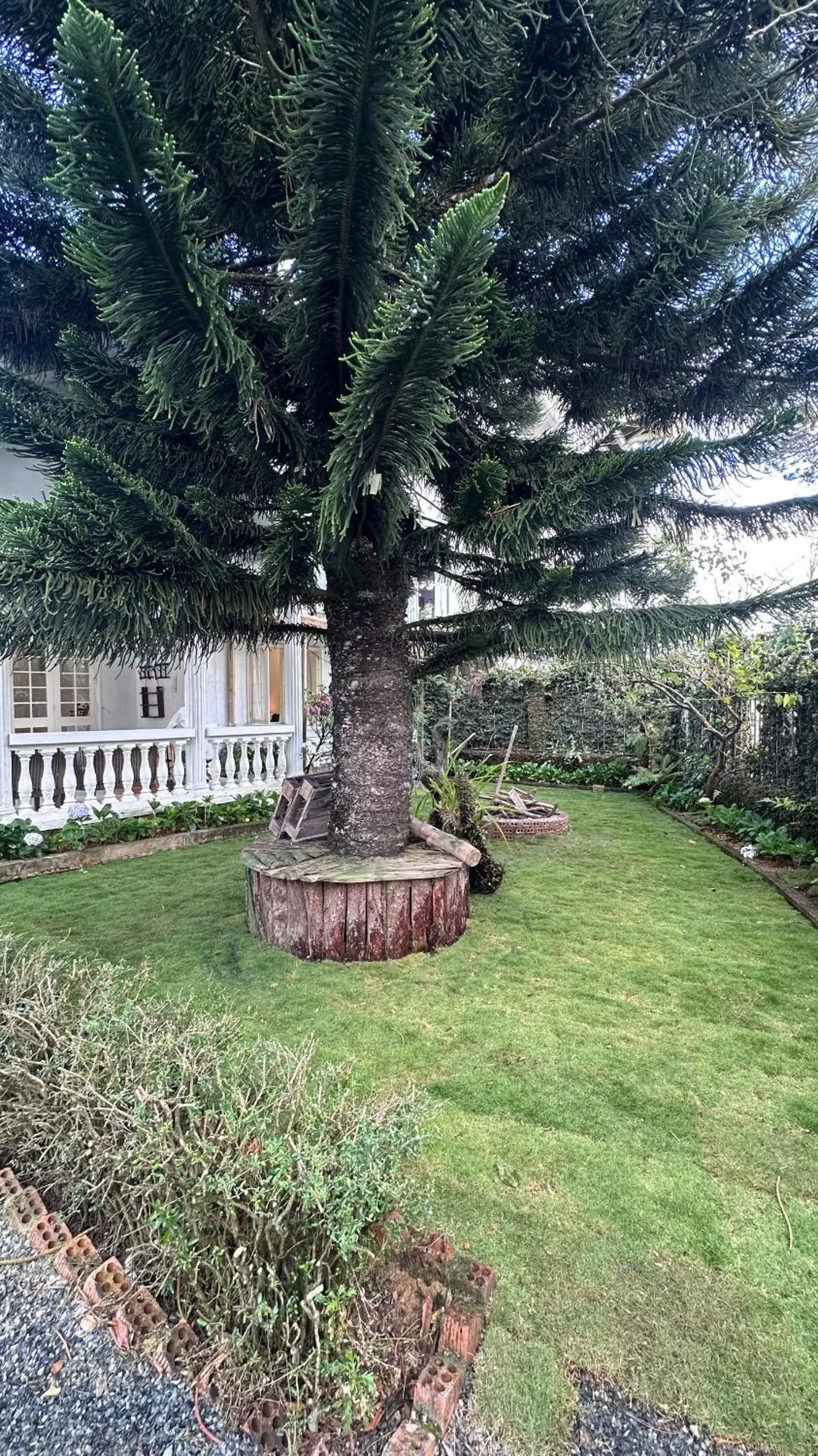 Spring in Ngàn Phố Studio & Love Hotel