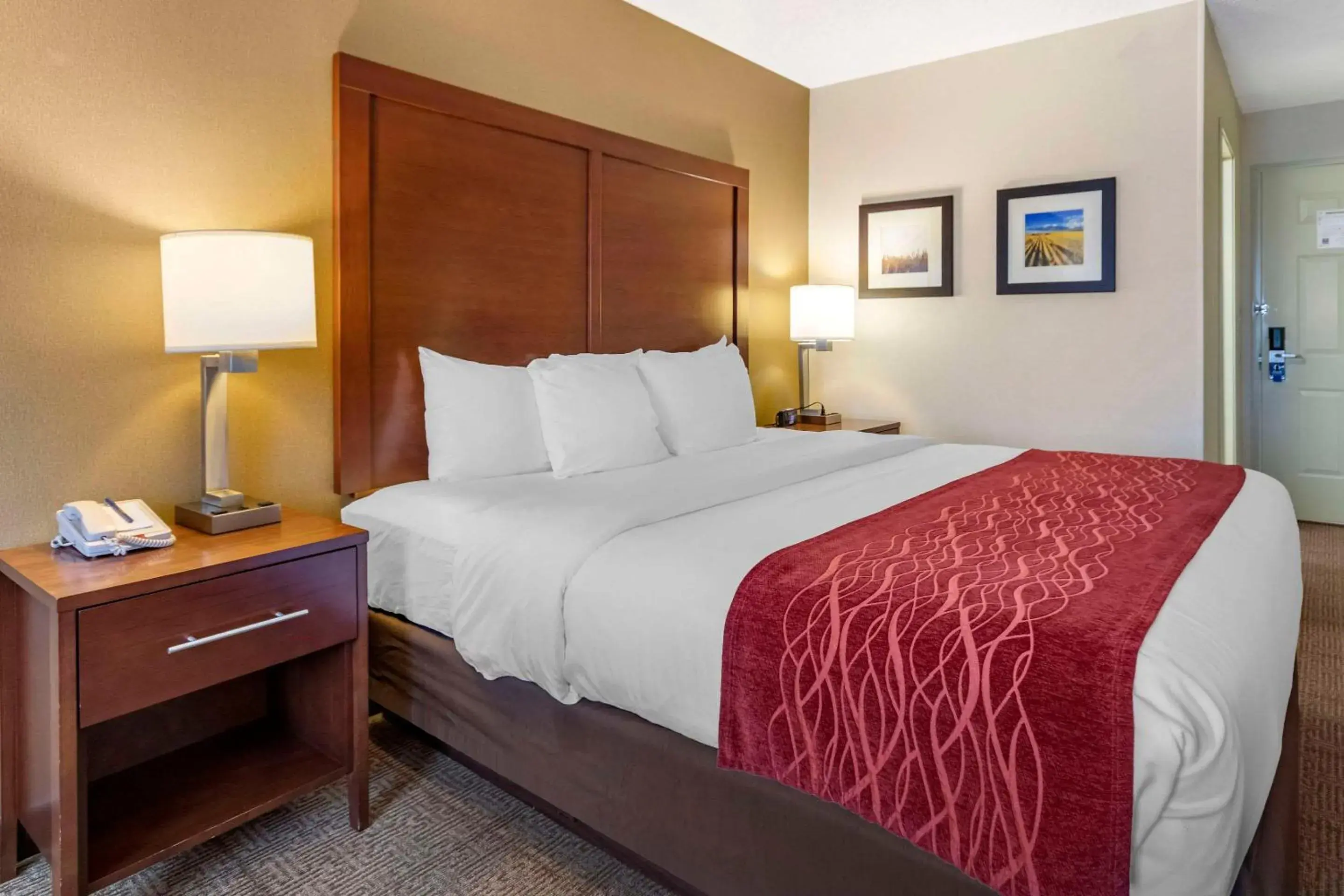 Bedroom, Bed in Comfort Inn Great Falls Central Bedroom, Bed in Comfort Inn Great Falls Central