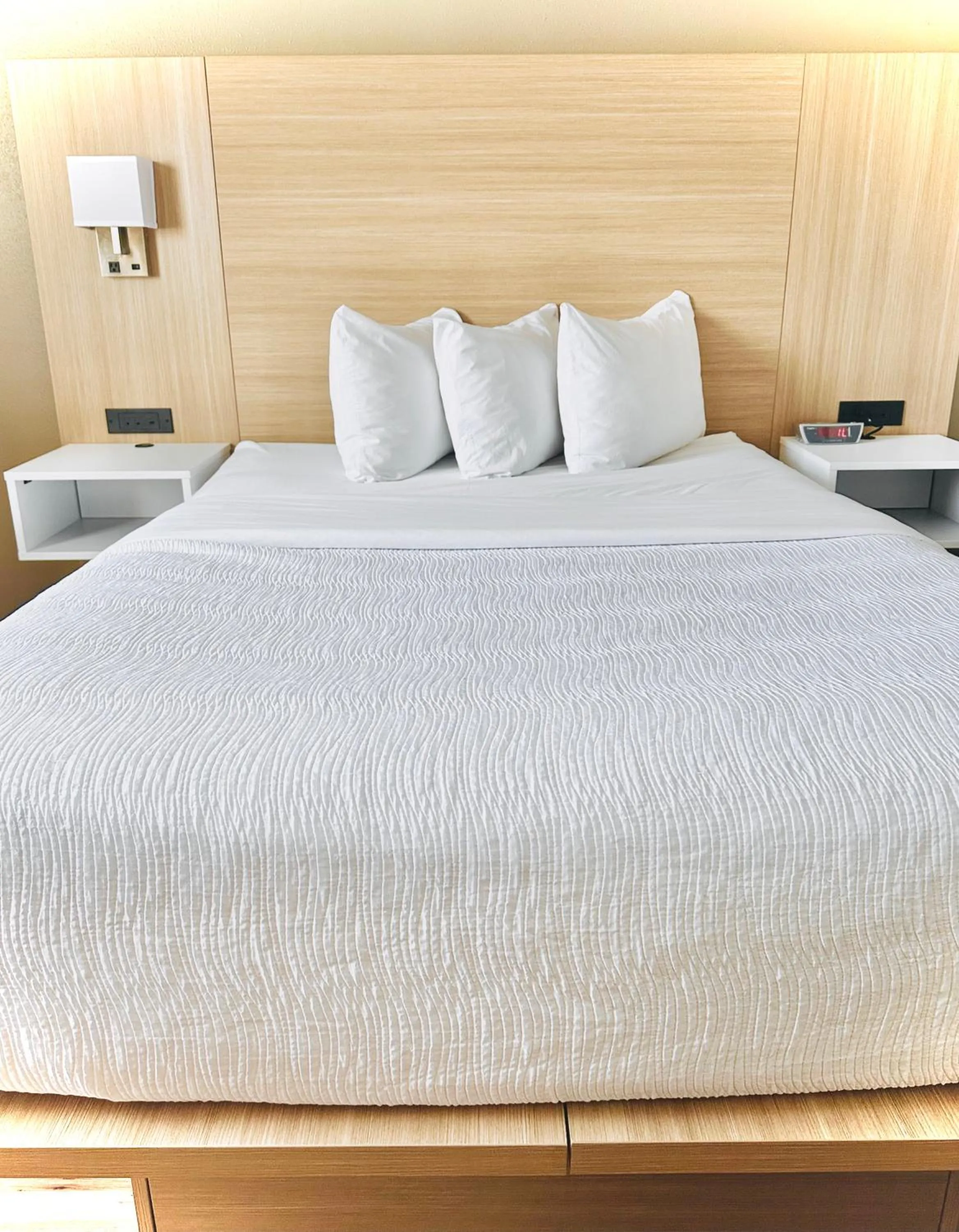 Bed in Baymont by Wyndham Missoula